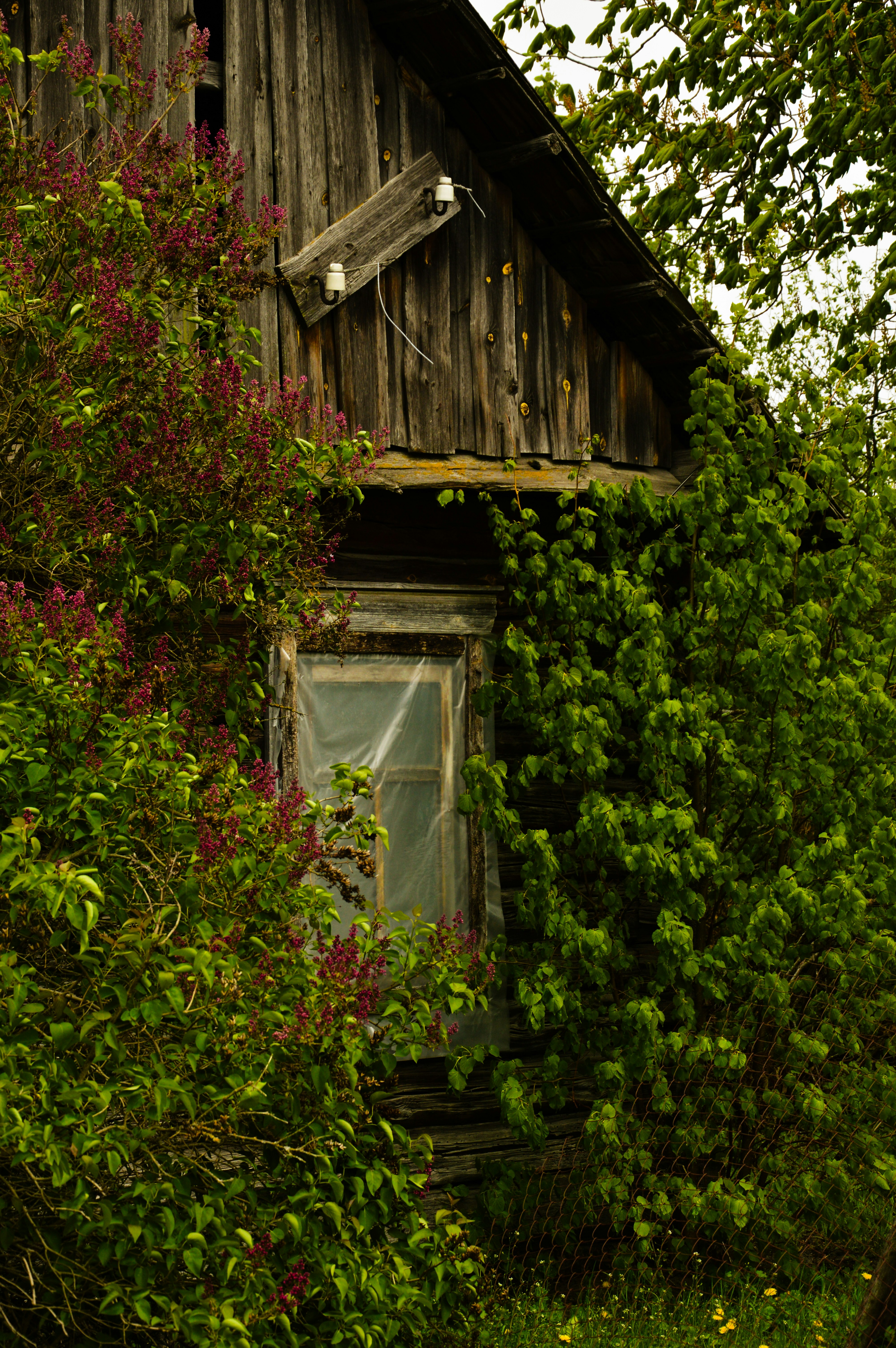 Photo by beauty_is_everywhere