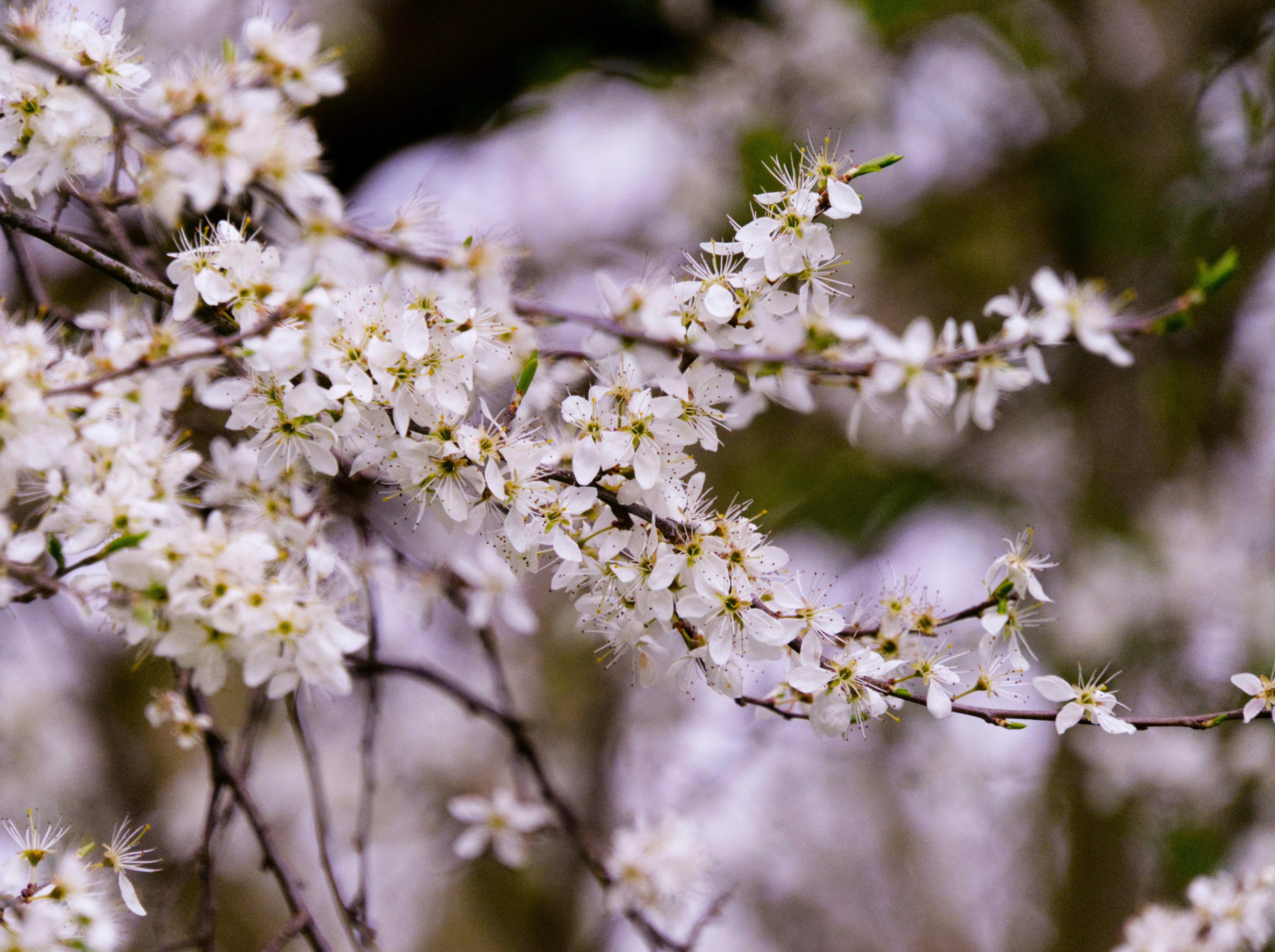 Photo by theskytales