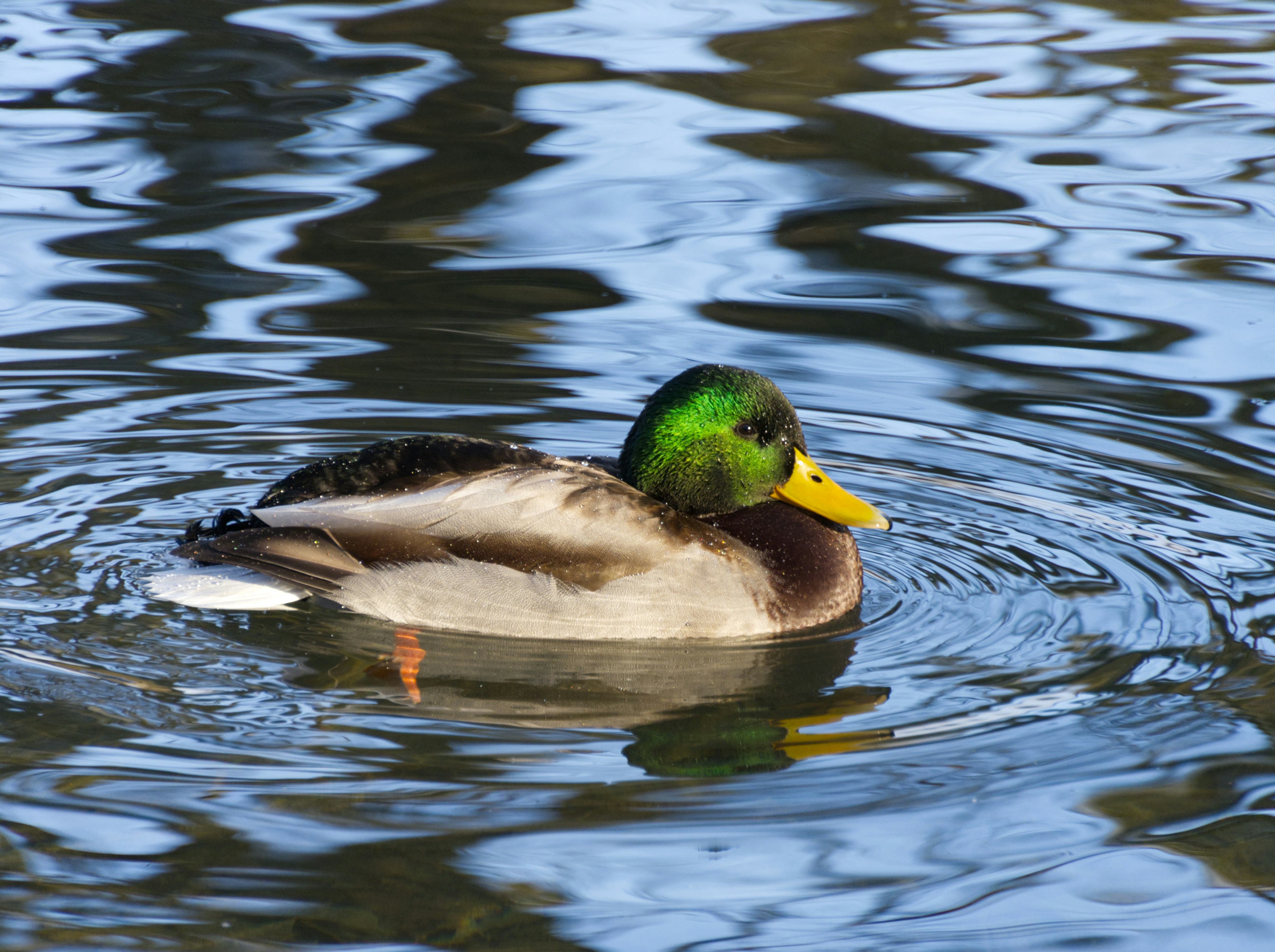 Photo by theskytales