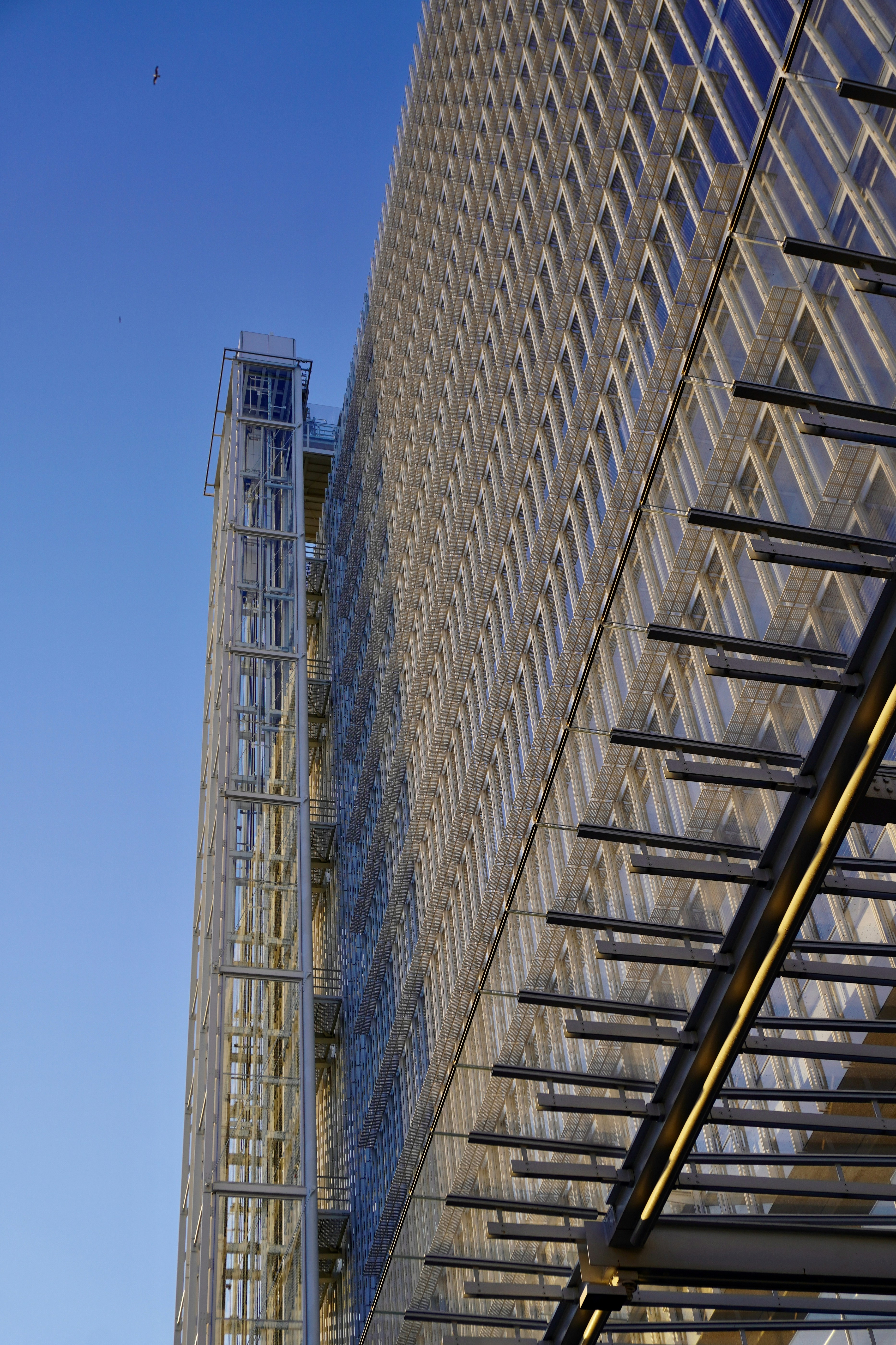 Photo by peterburdon