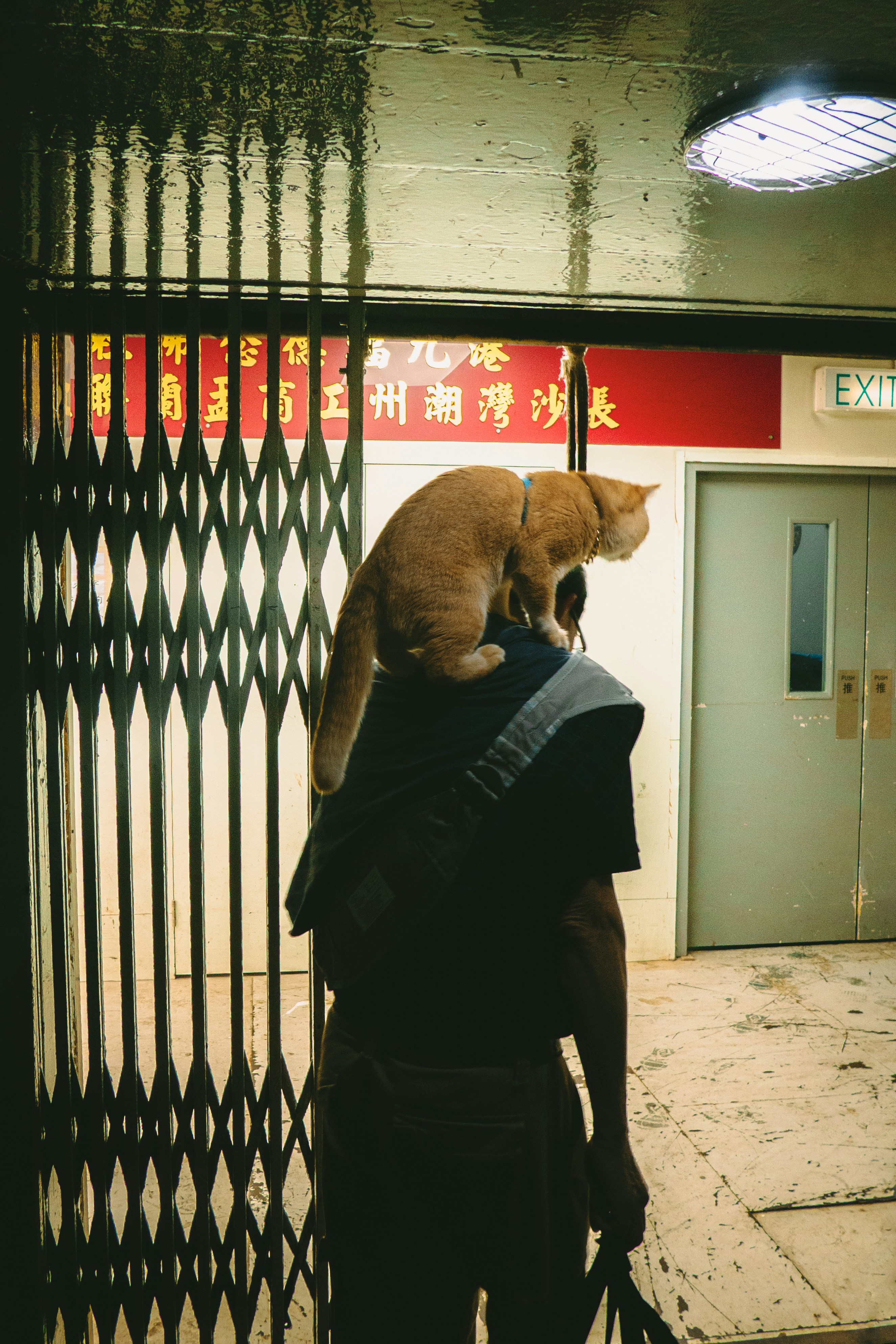 Clinginess Versus Independence (image credits: unsplash)