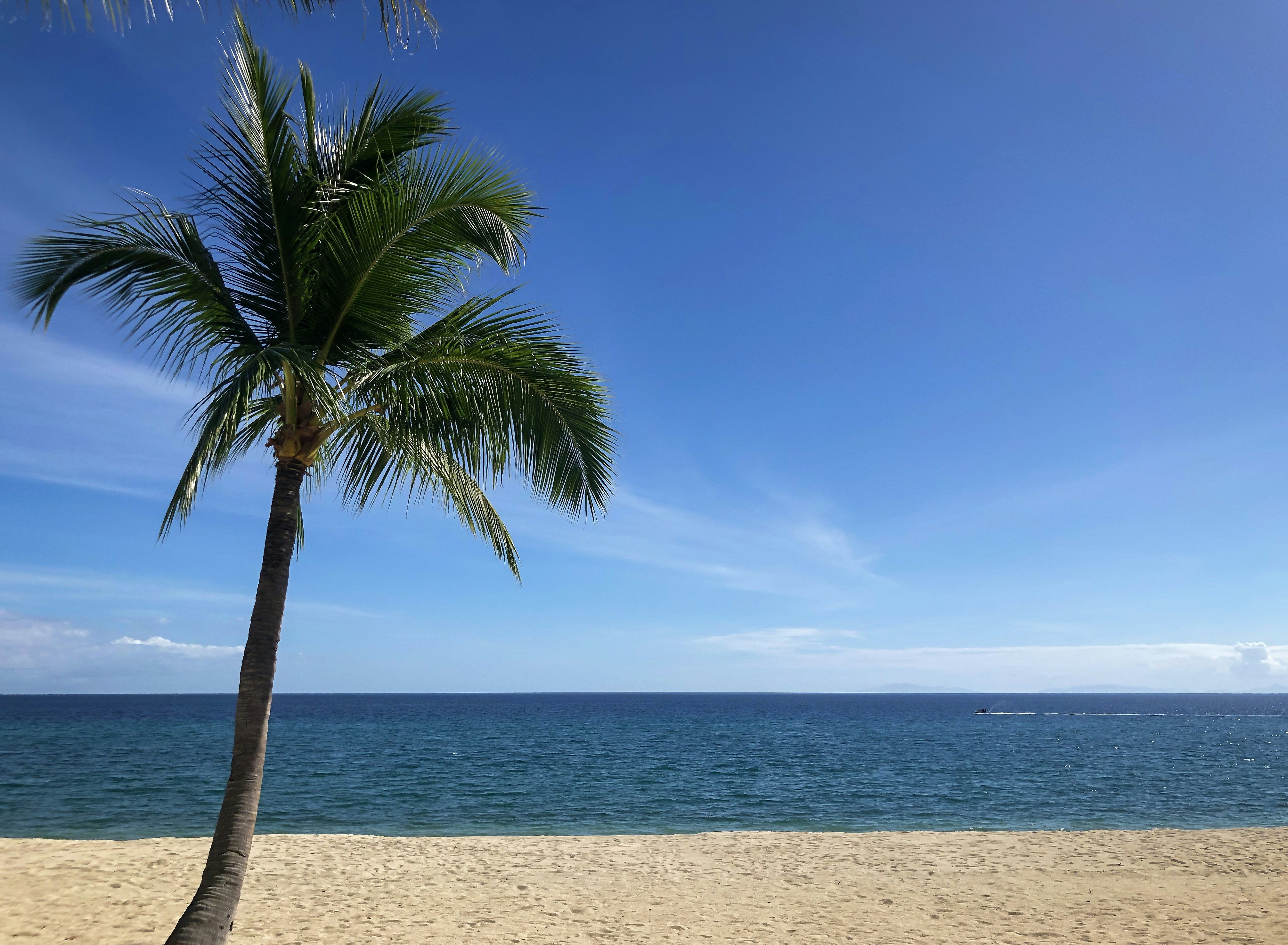 Photo by andreastuart