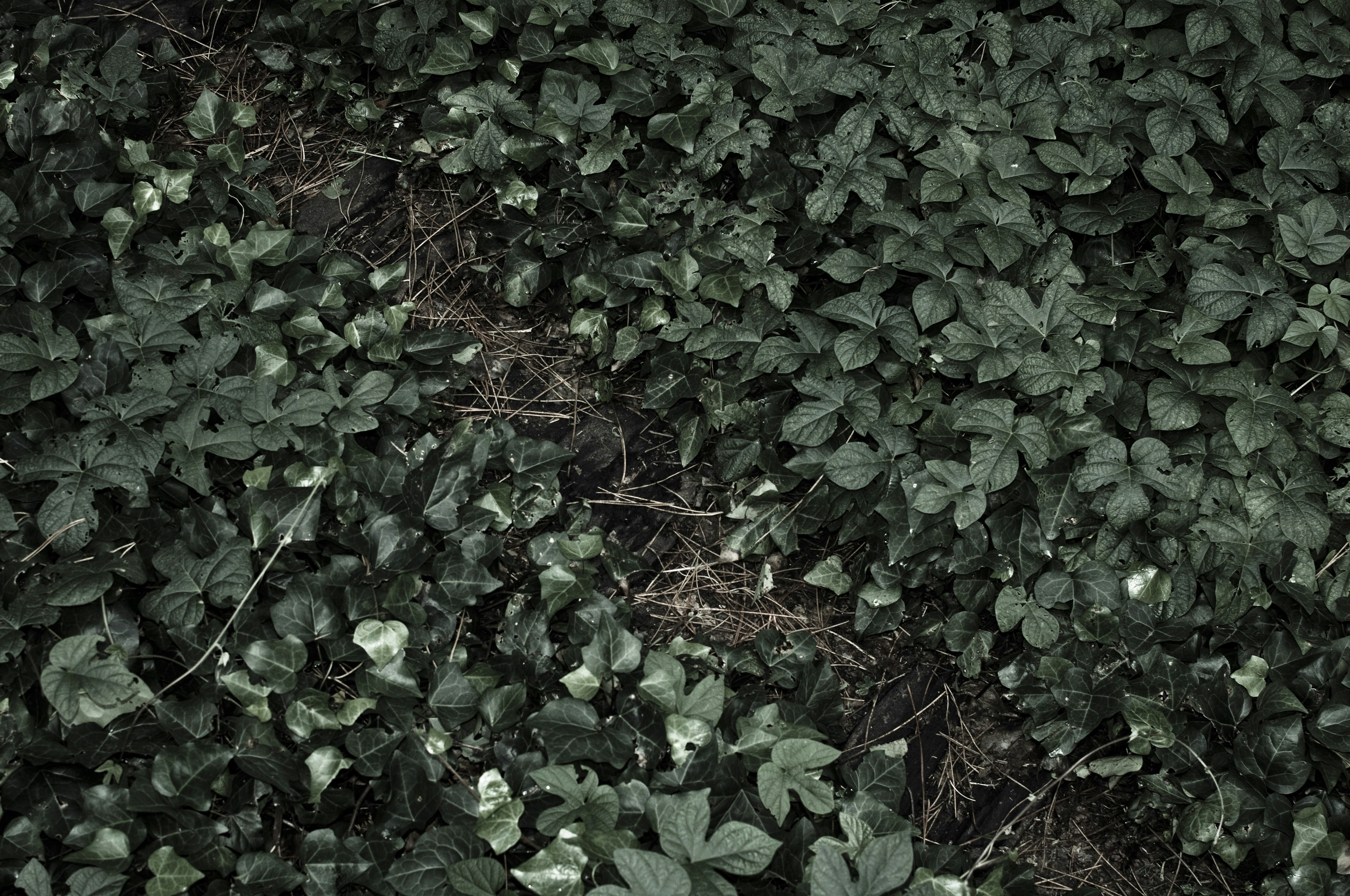 Photo by photostockphoto