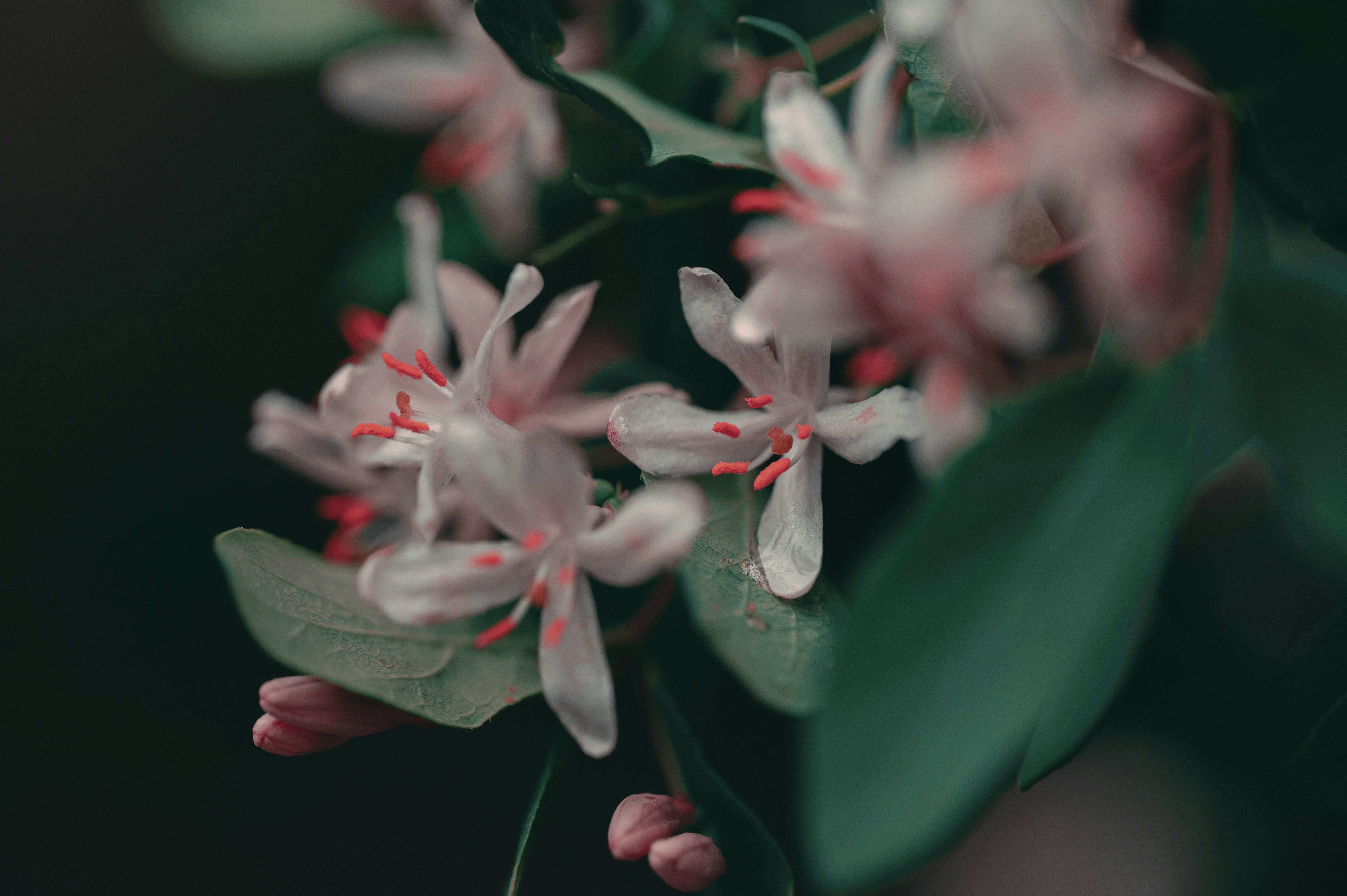 Photo by volodymyr_leush