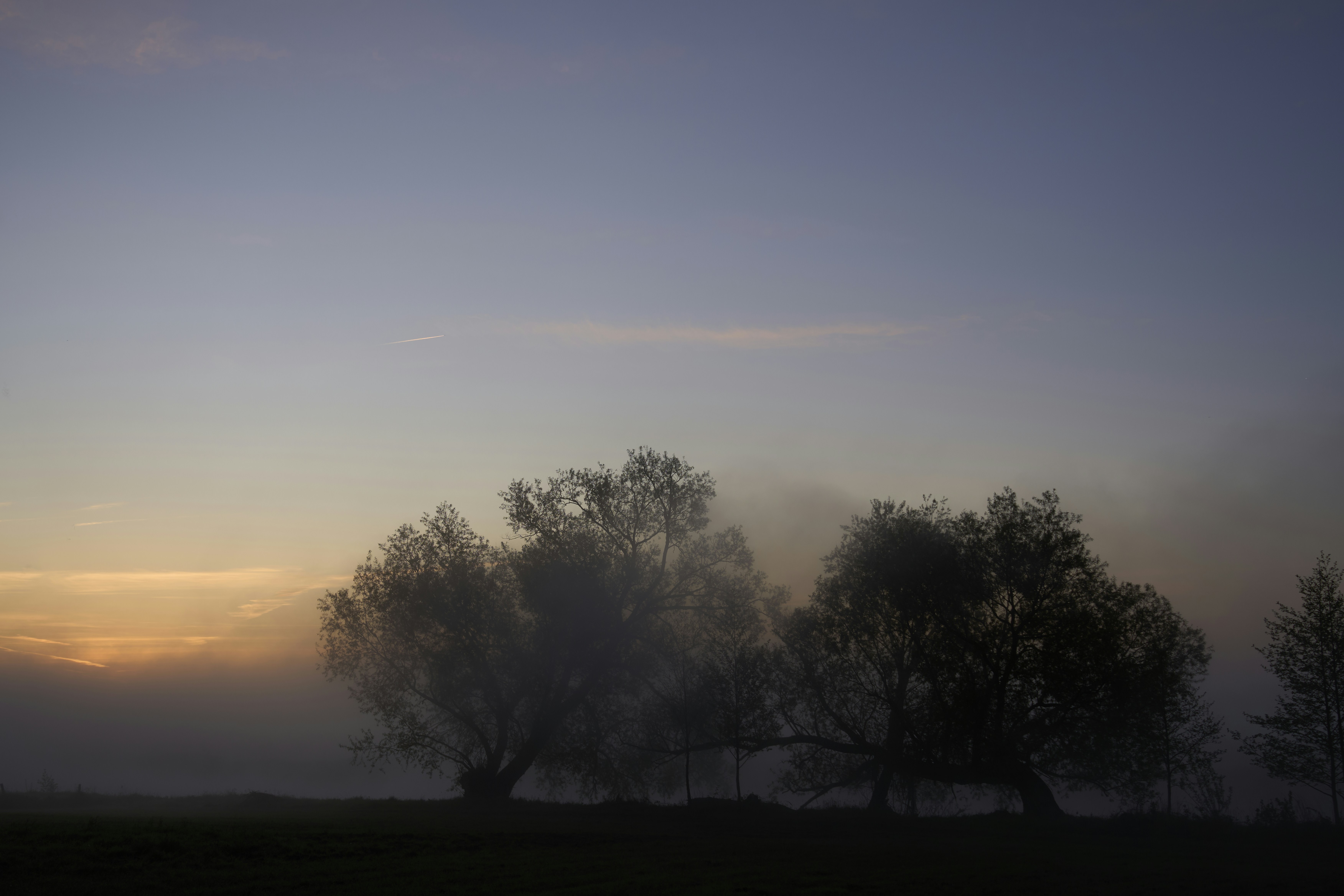 Photo by wolfgang_hasselmann