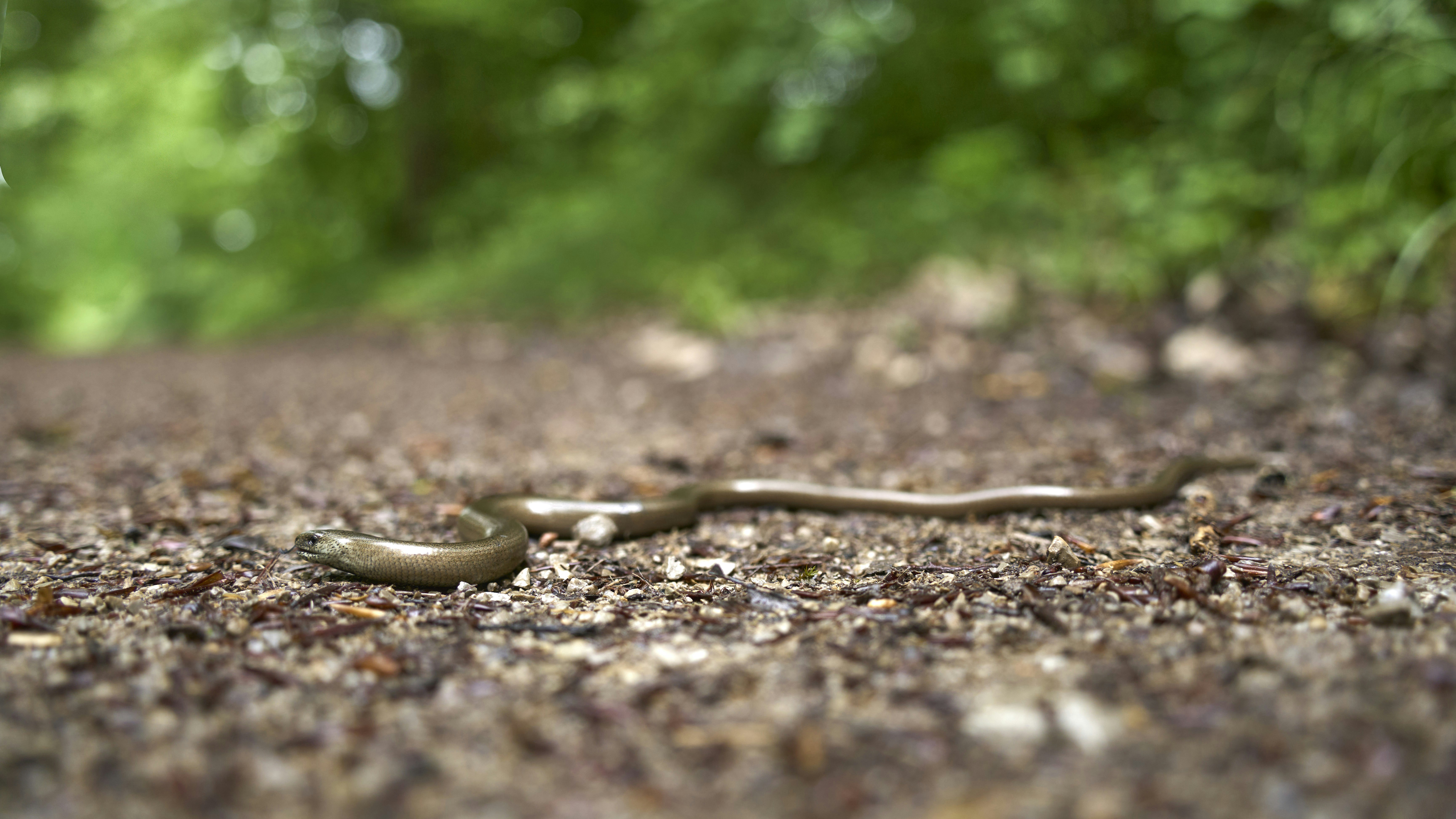 Photo by wolfgang_hasselmann