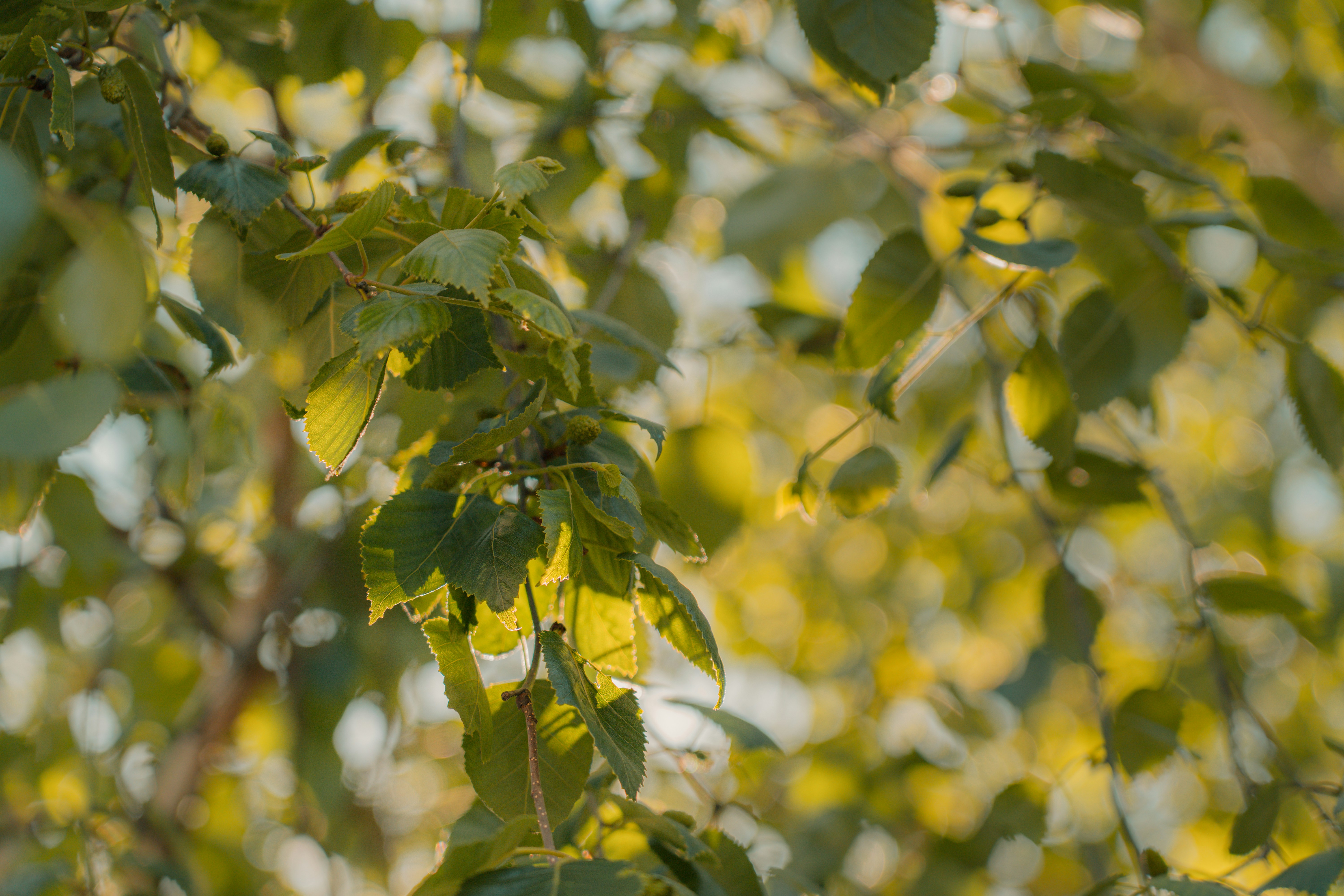 Photo by samuel_hagger