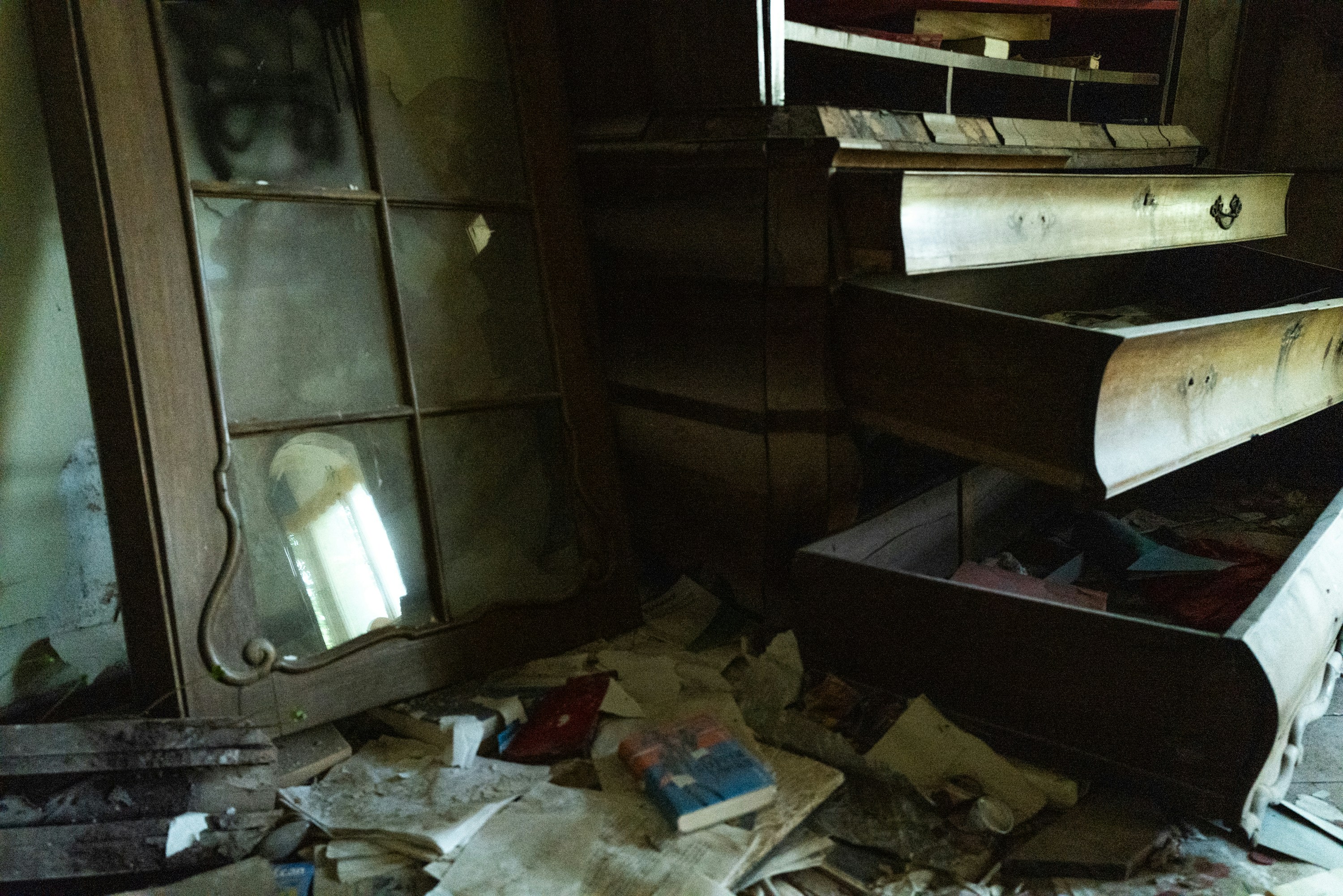 Photo by maikastheimer