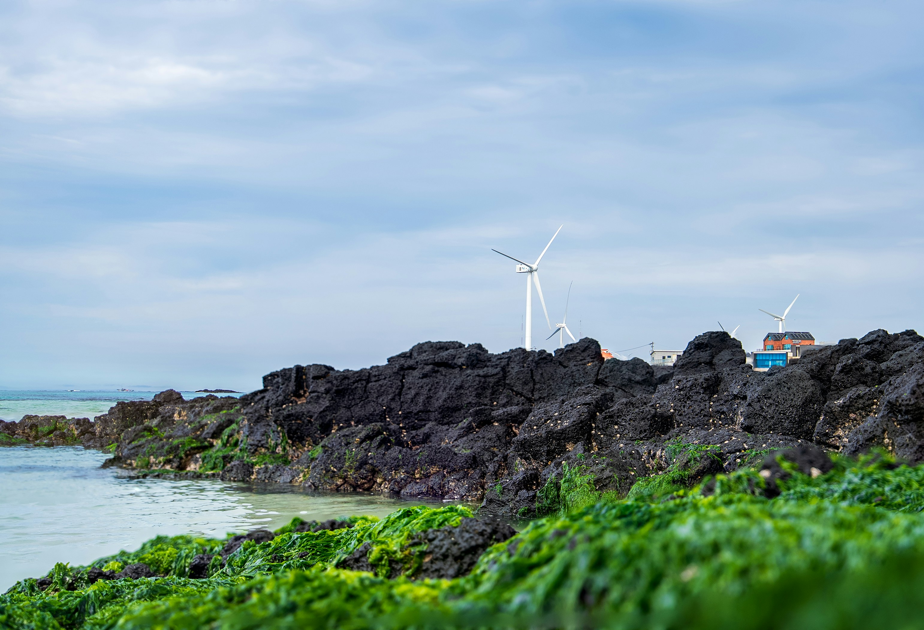 岩だらけの海岸は風力タービンで海と合流しています。
