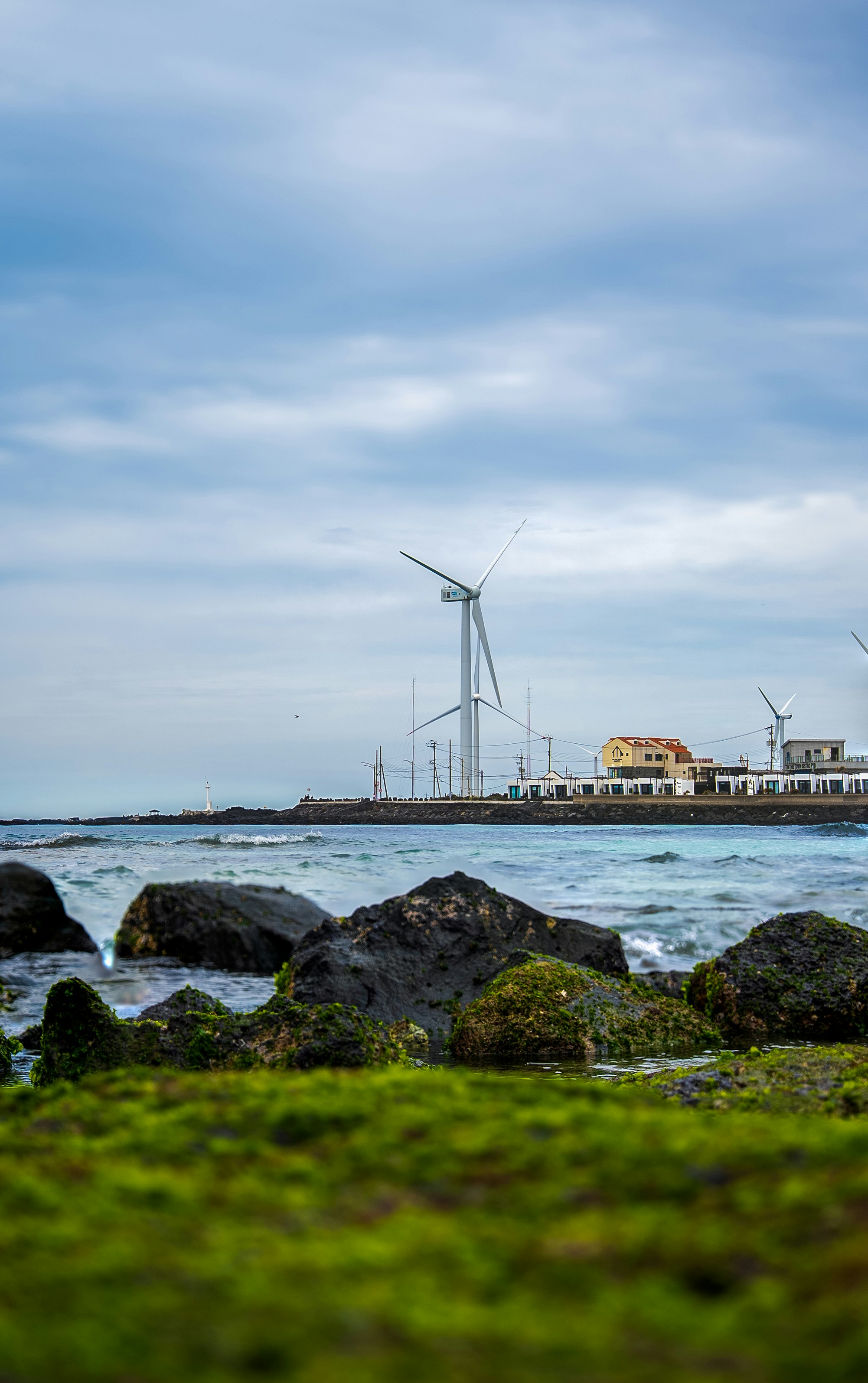 Understanding the Philosophy Behind "Slow Jeju" Walking
