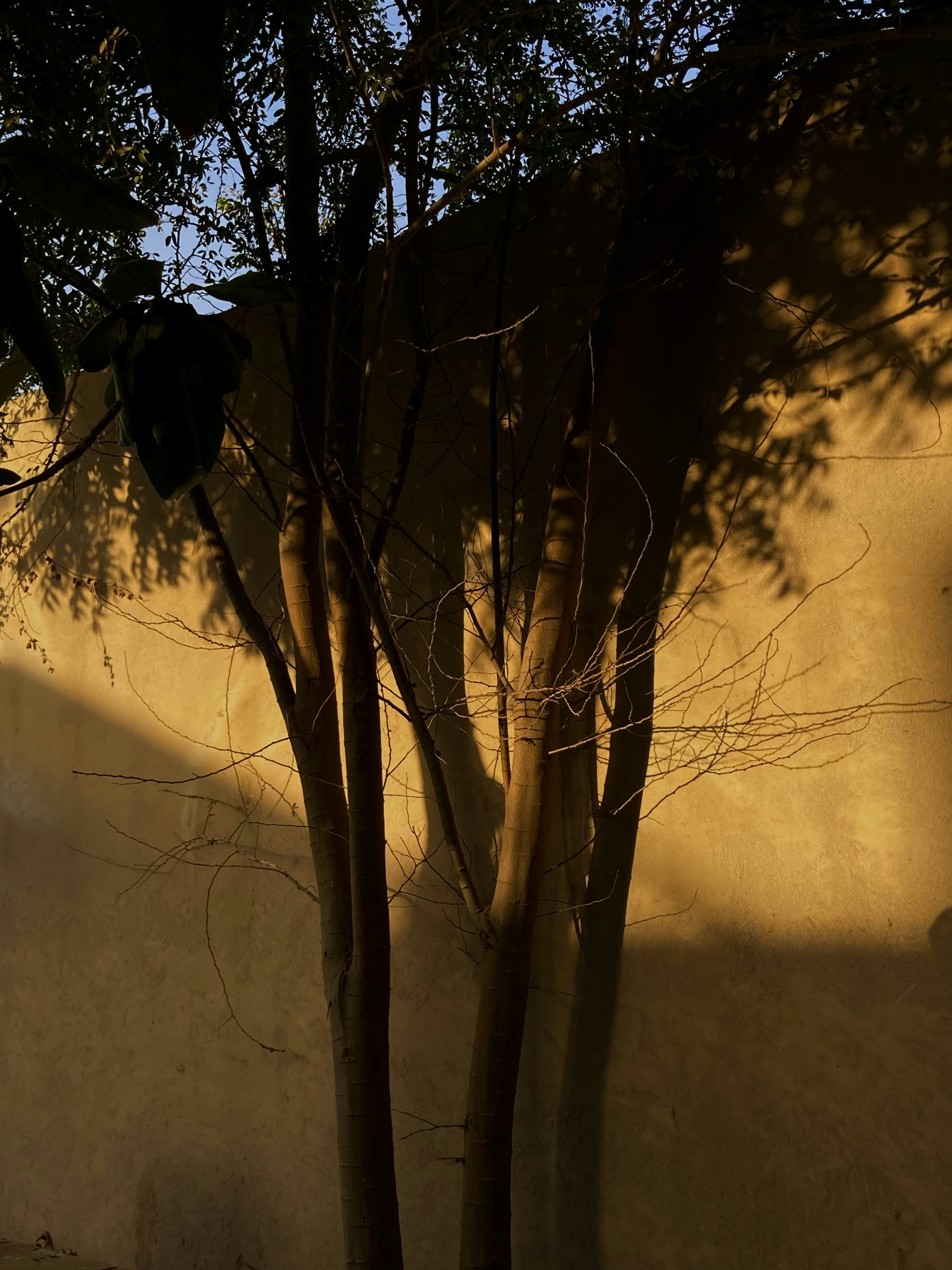 Photo by adeena_kamran