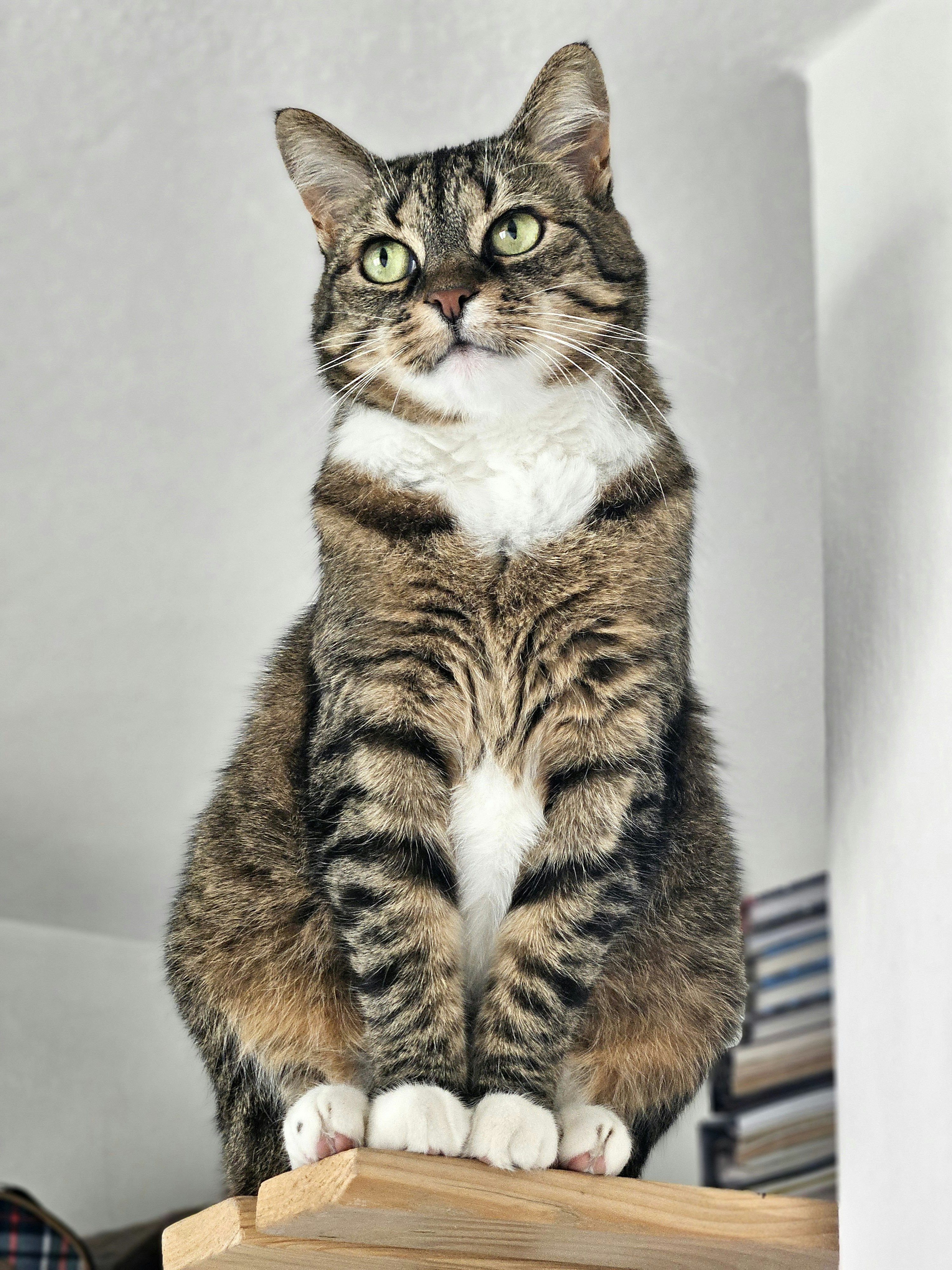 Photo by marjorylucabaxter