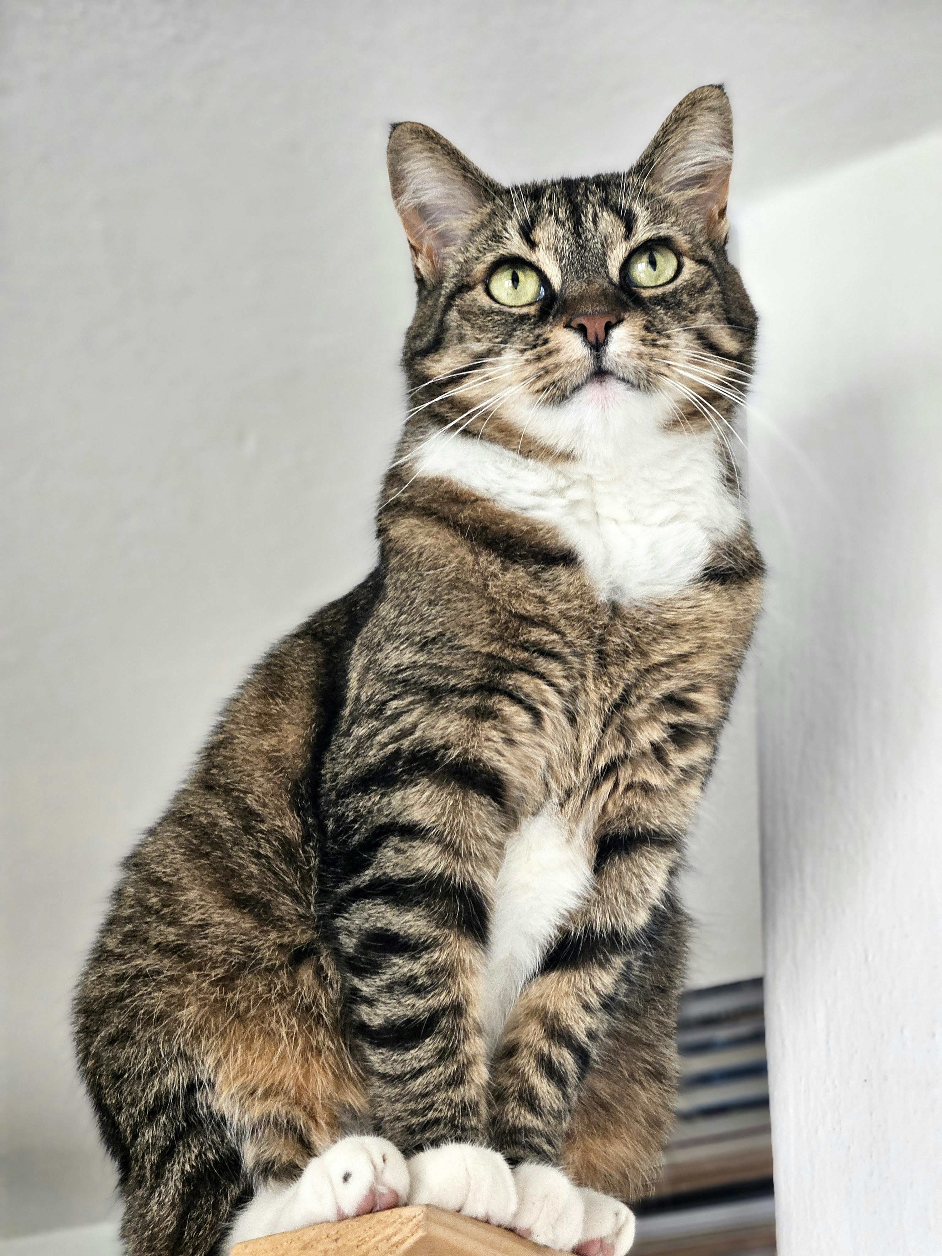 Photo by marjorylucabaxter