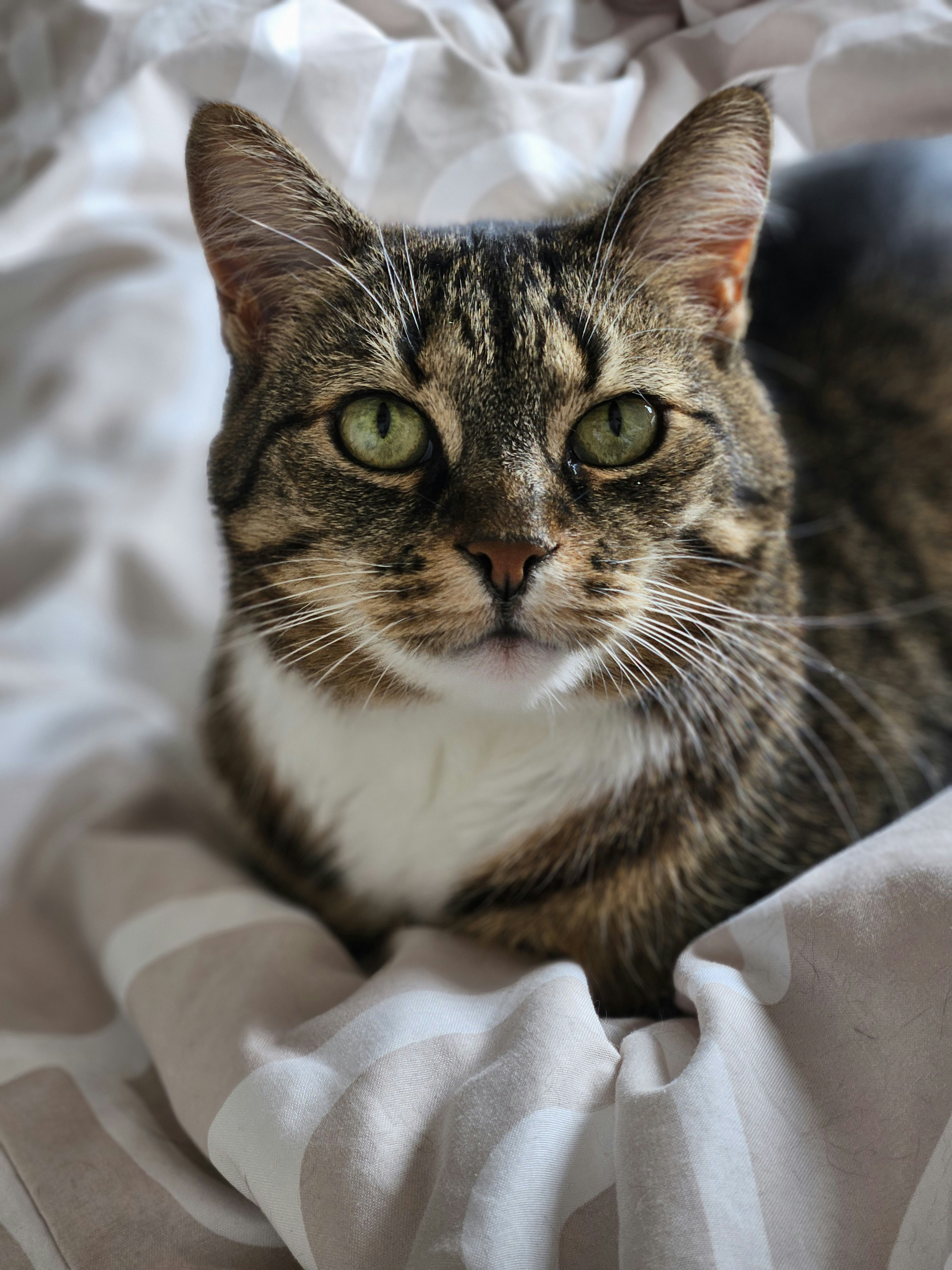 Photo by marjorylucabaxter