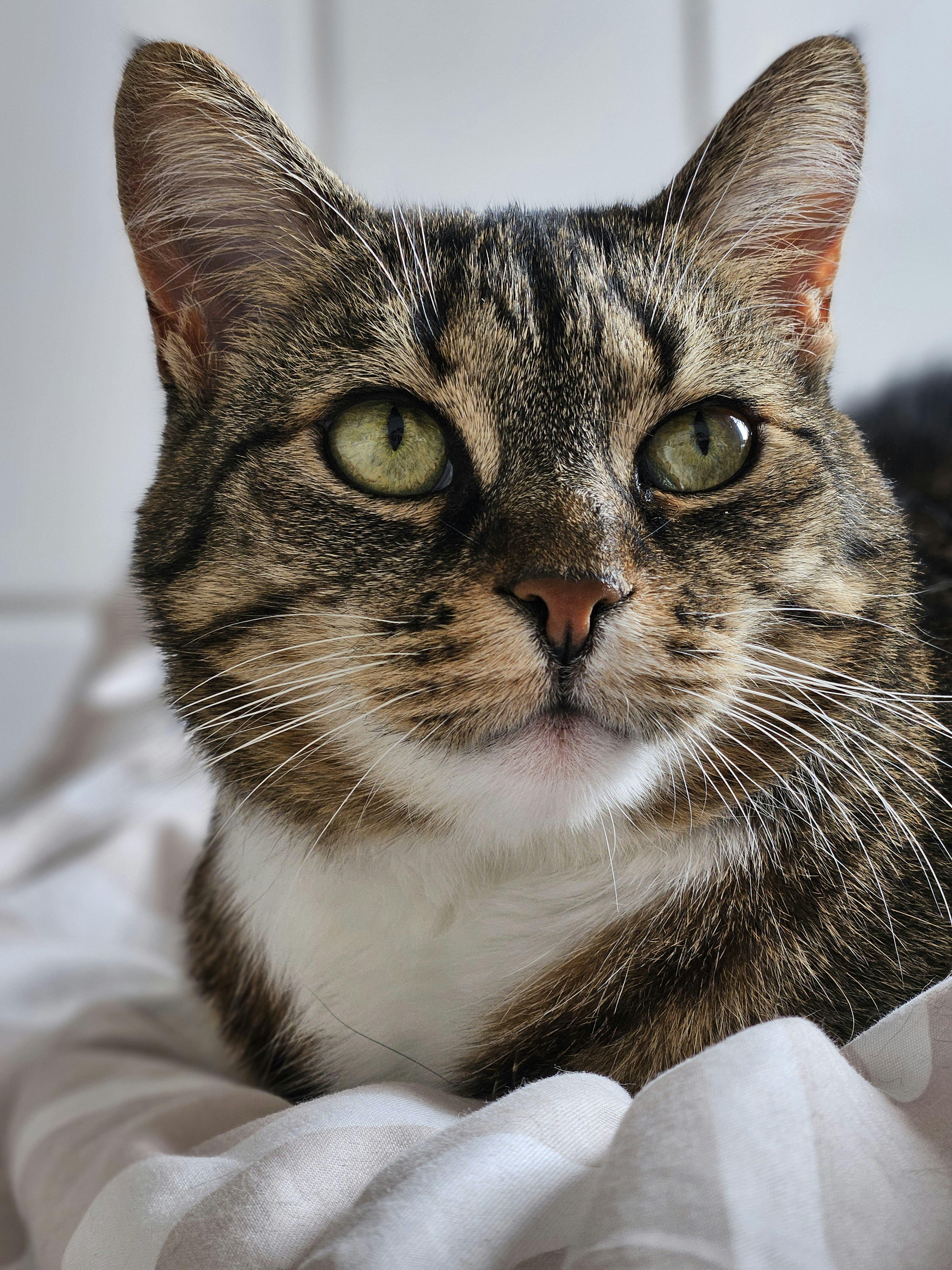 Photo by marjorylucabaxter