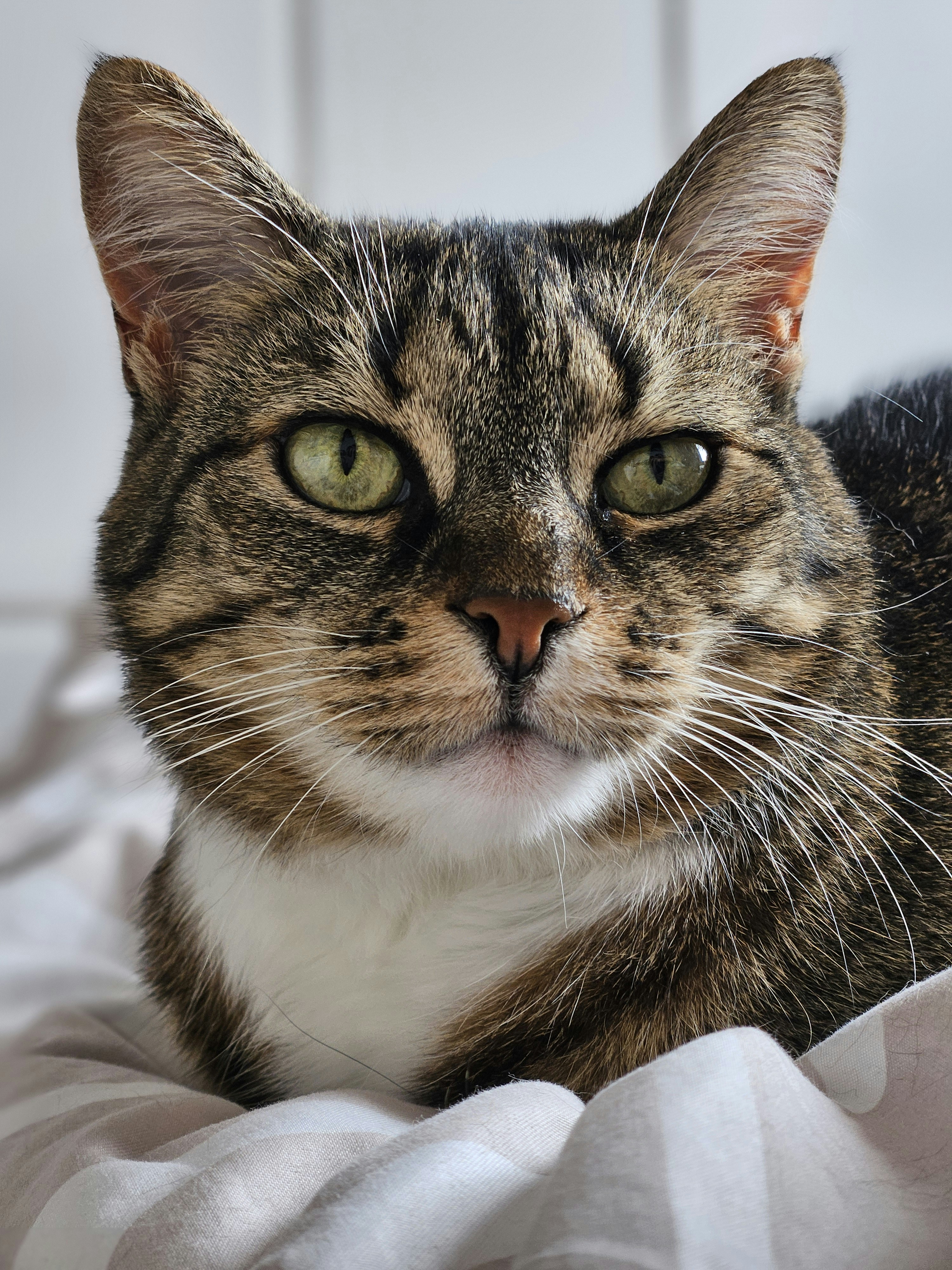 Photo by marjorylucabaxter