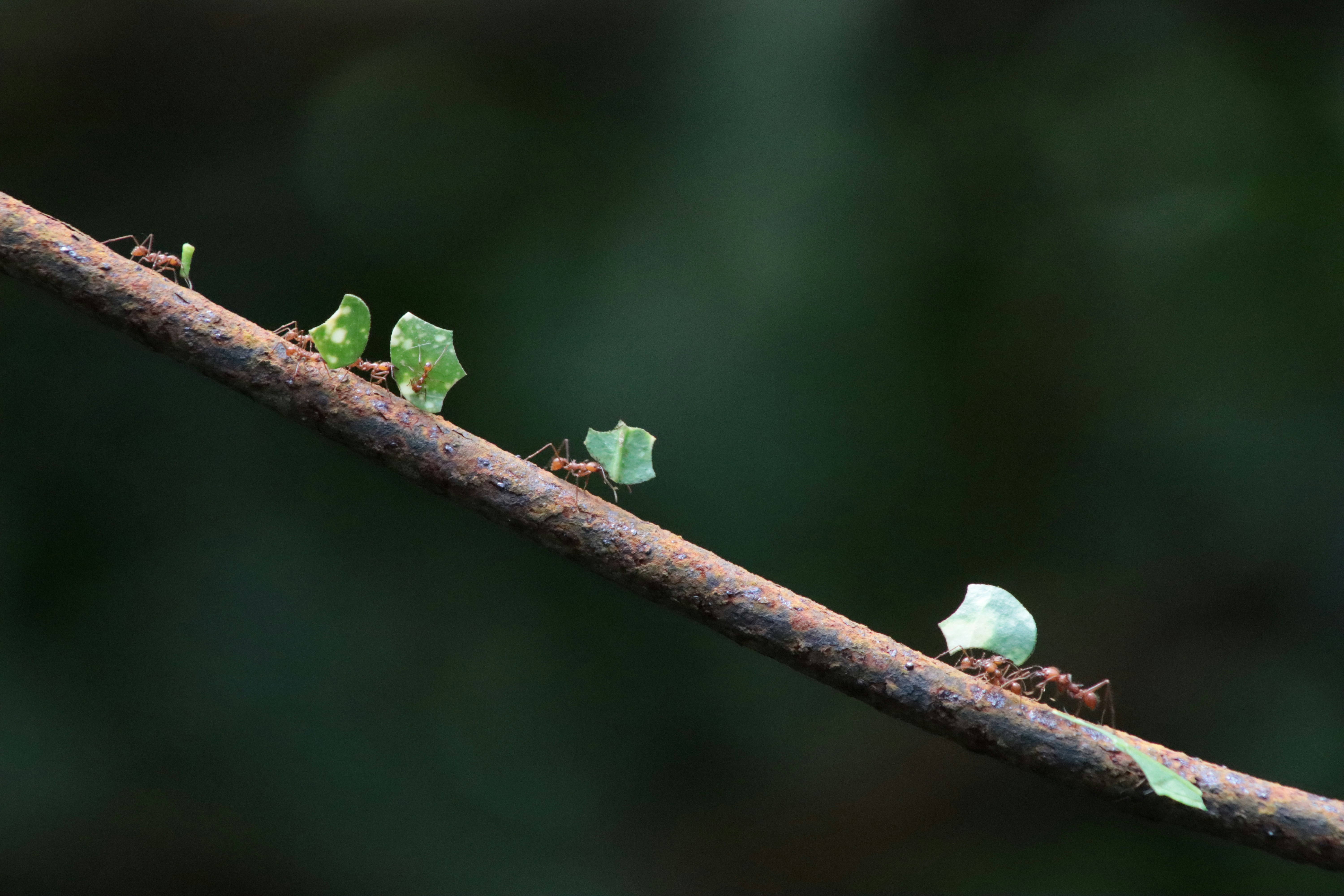 Photo by kccreations