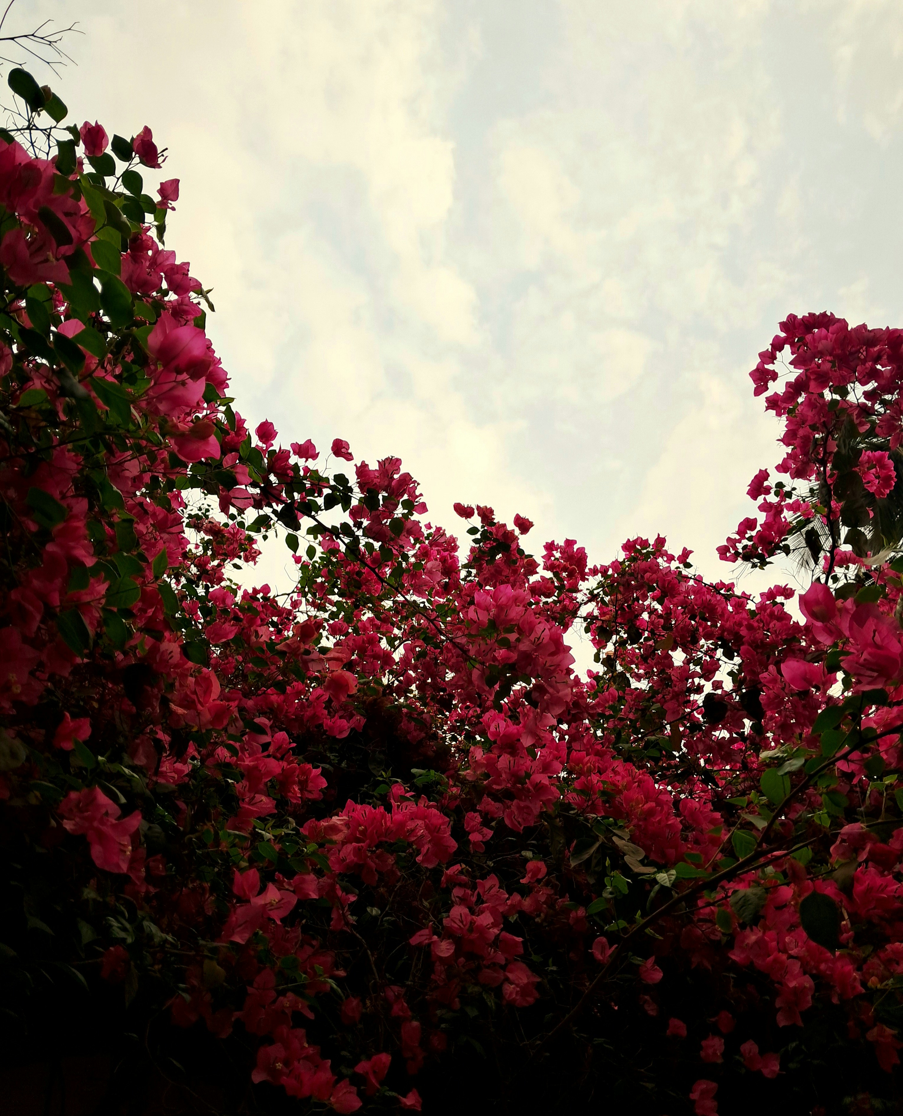 Photo by photographer_op