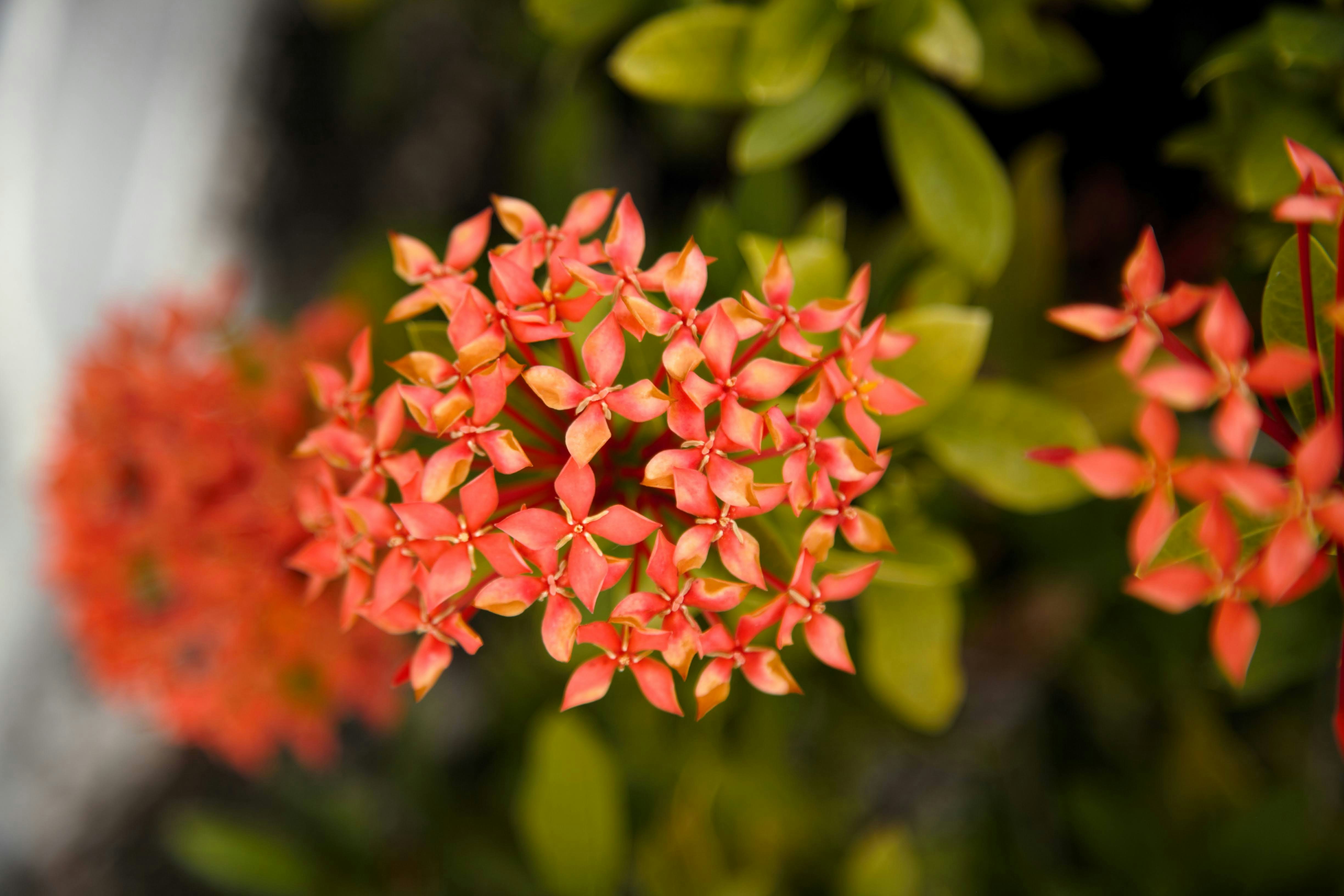 Photo by clearynotlost