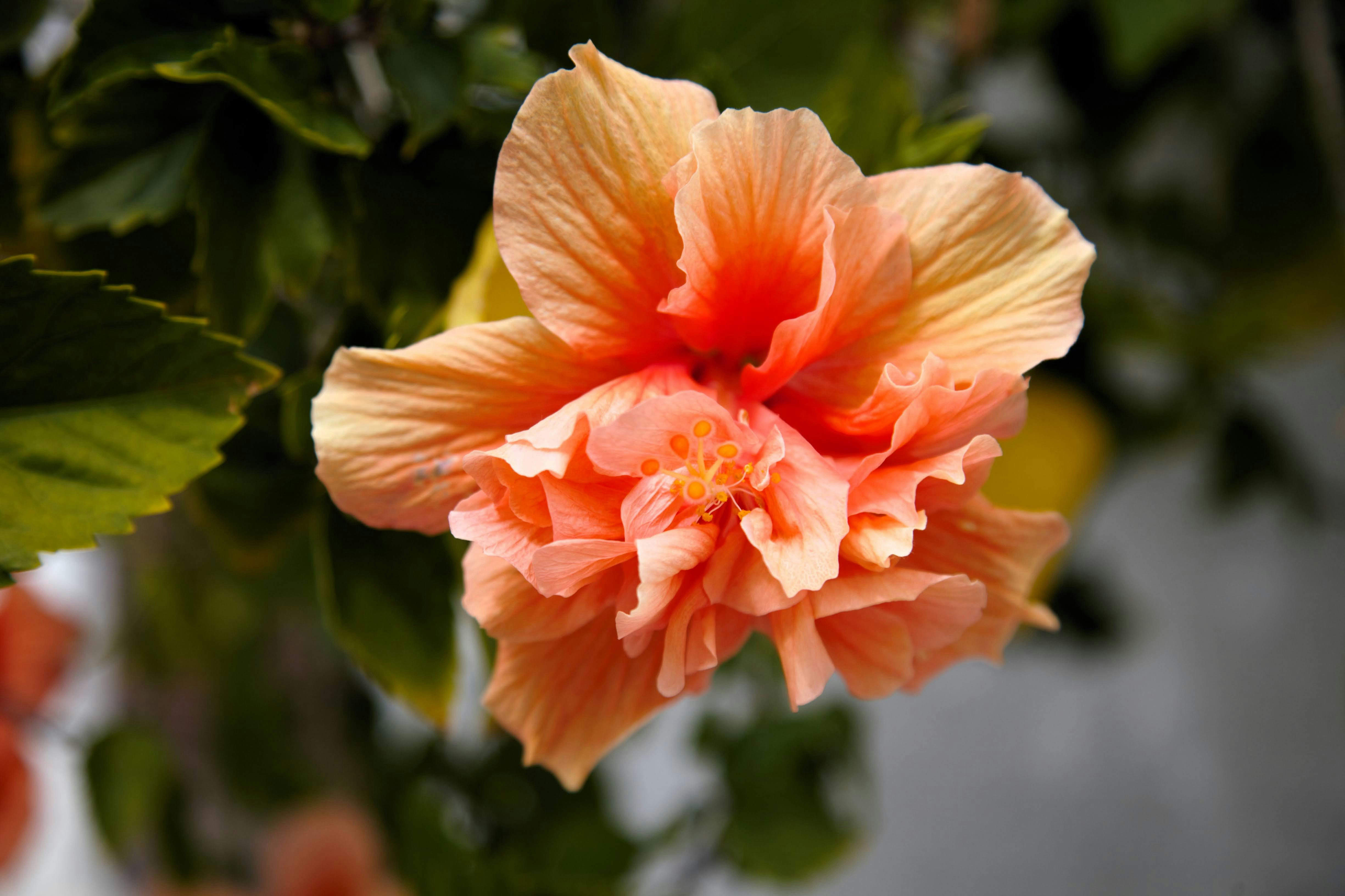 Photo by clearynotlost