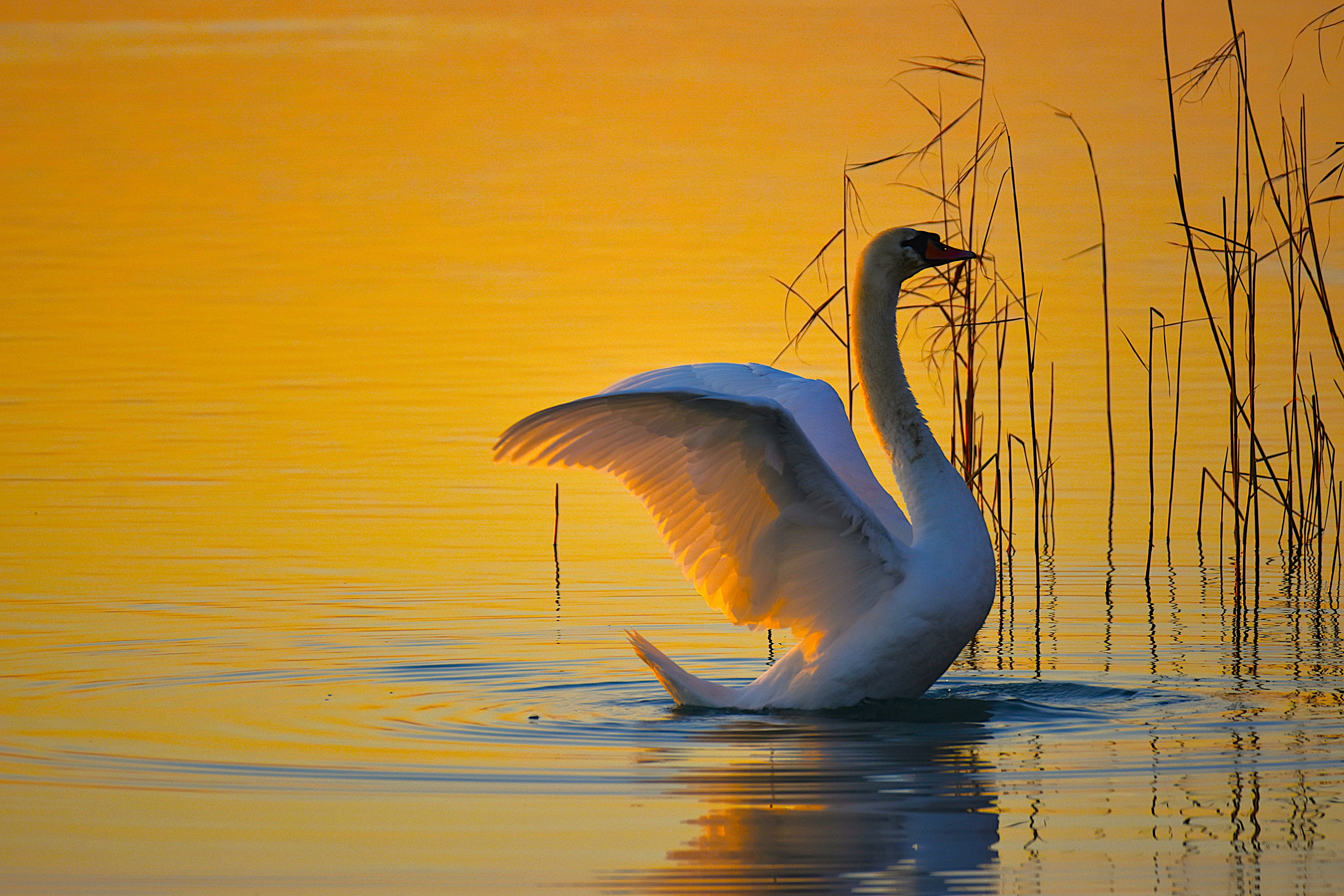 Photo by znphotogarphy