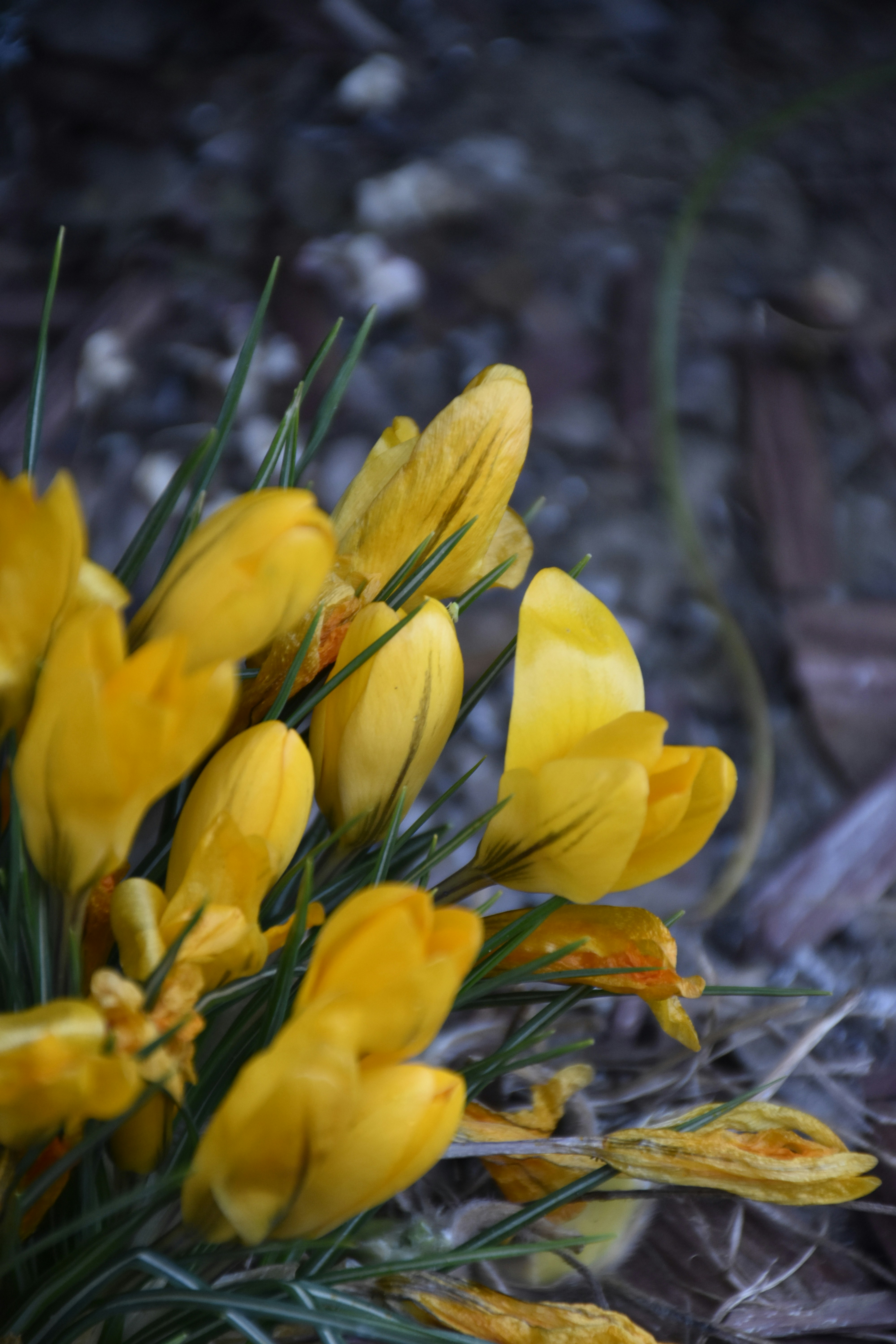 Photo by znphotogarphy