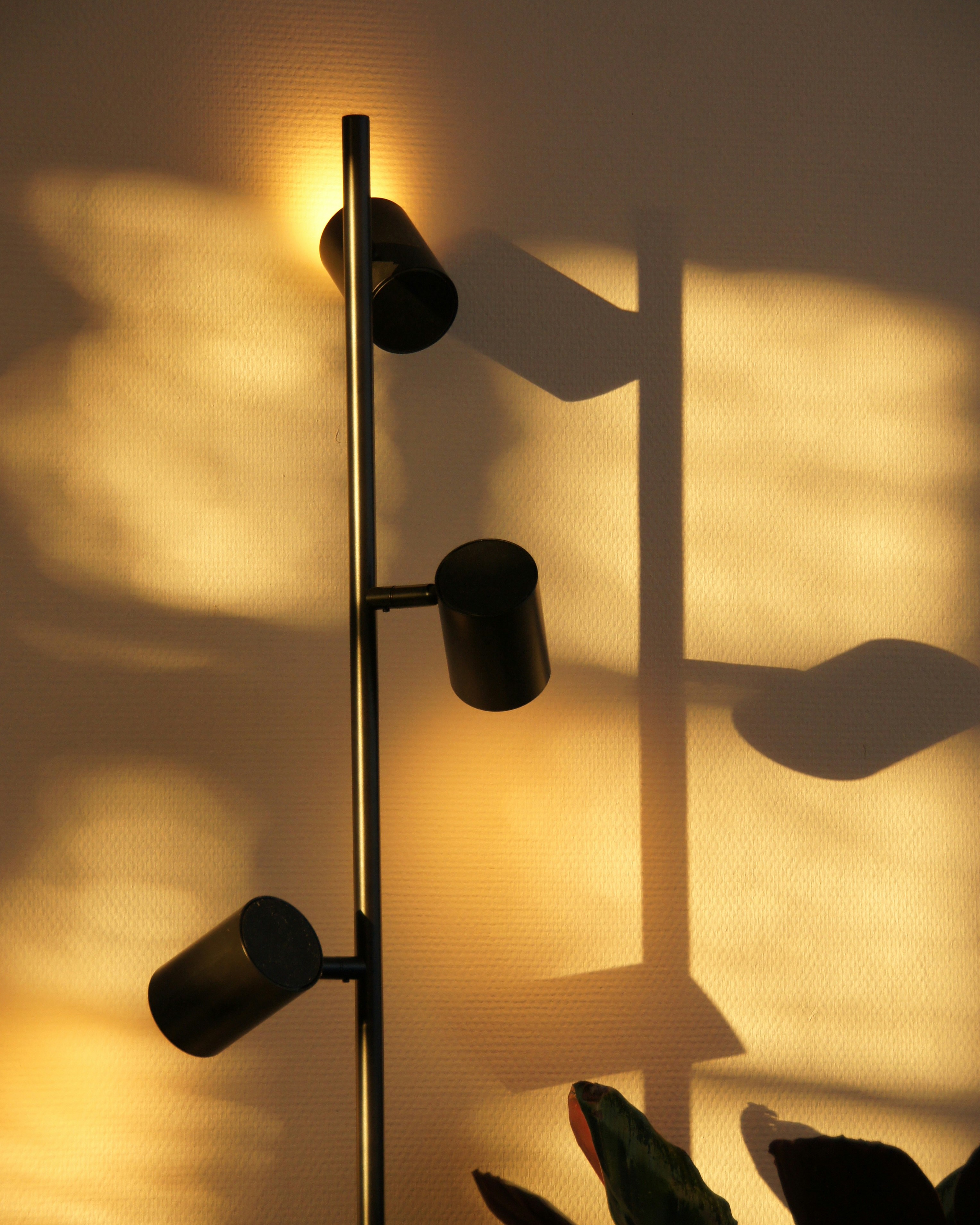 Photo by amarinvanmelzen