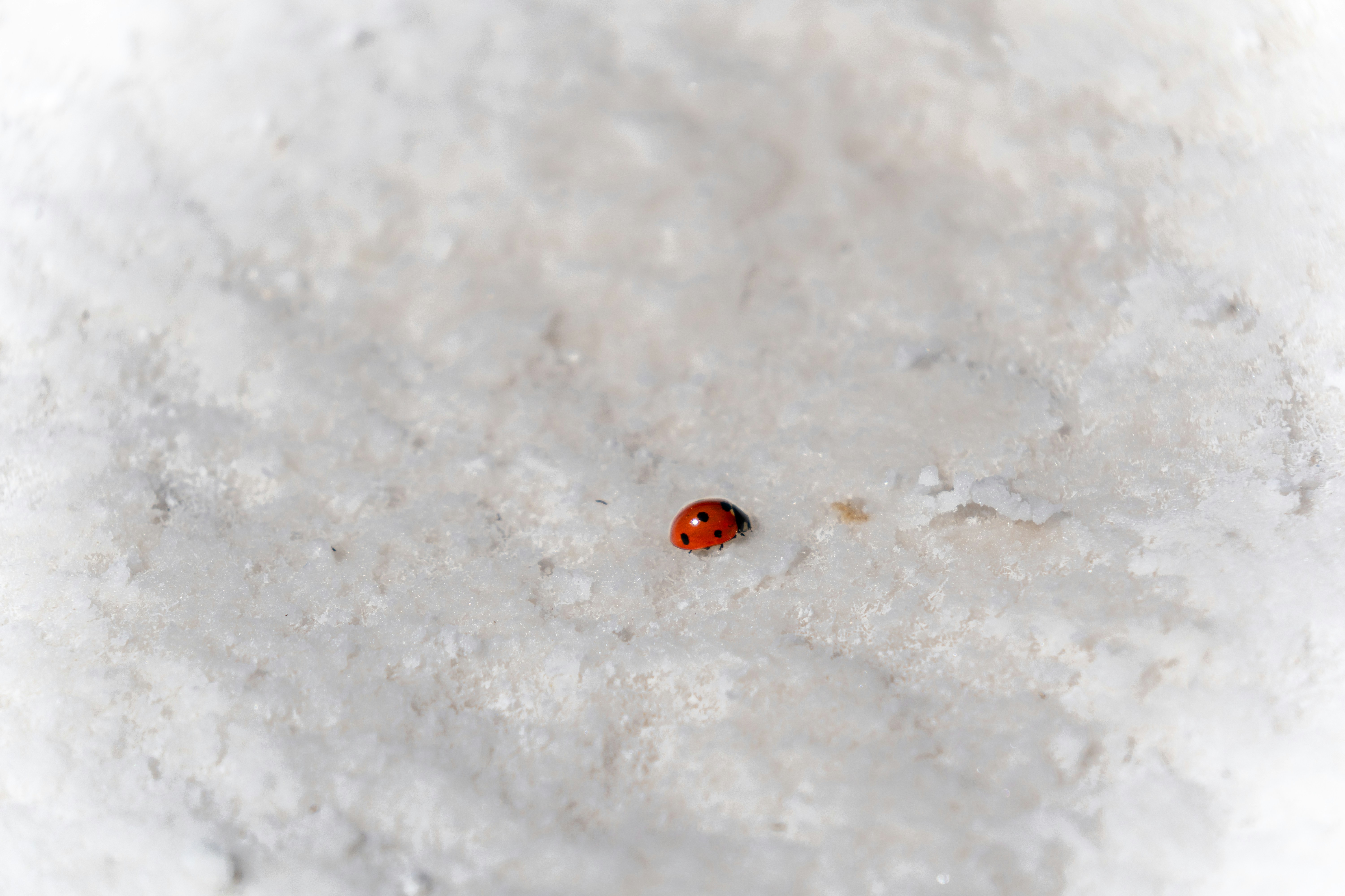 Photo by fabiankleiser