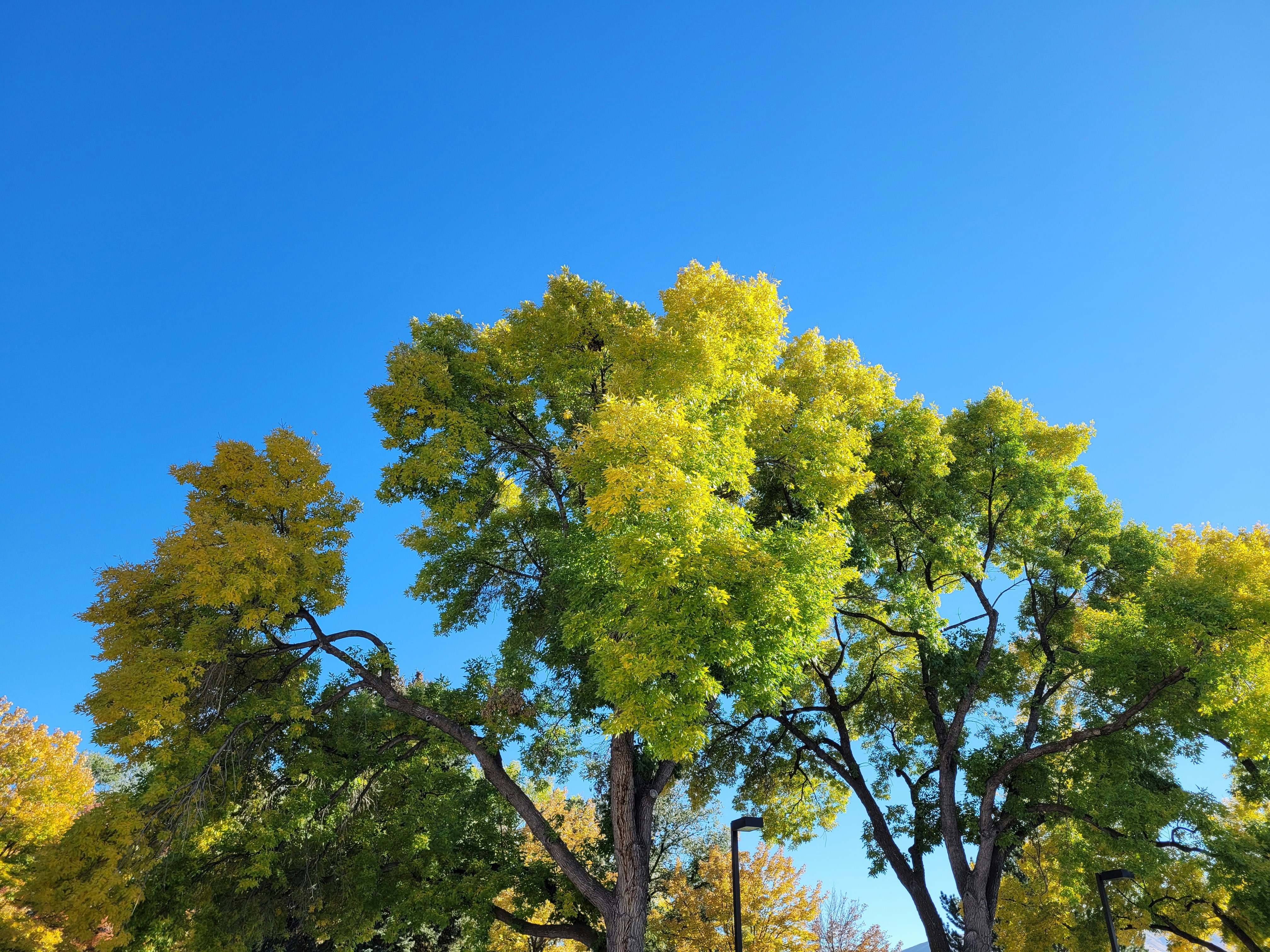 Photo by afrodeitiy6