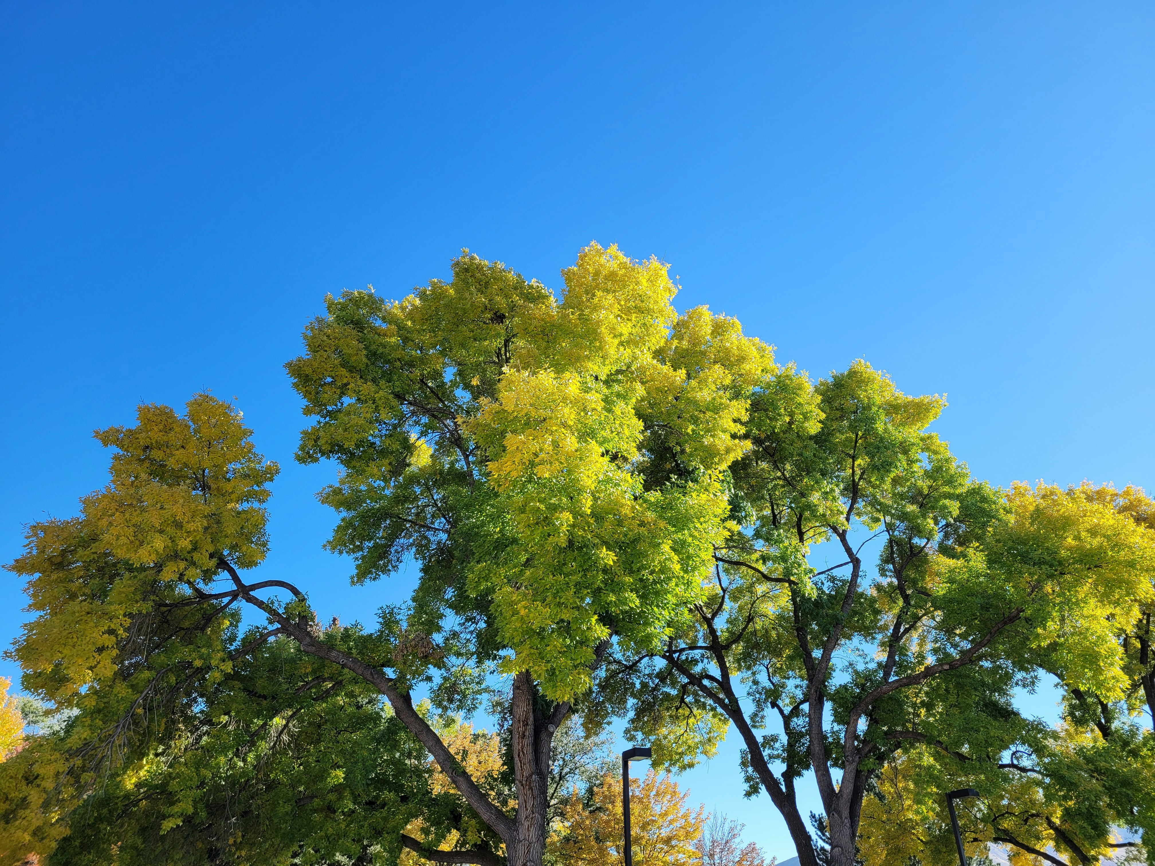 Photo by afrodeitiy6