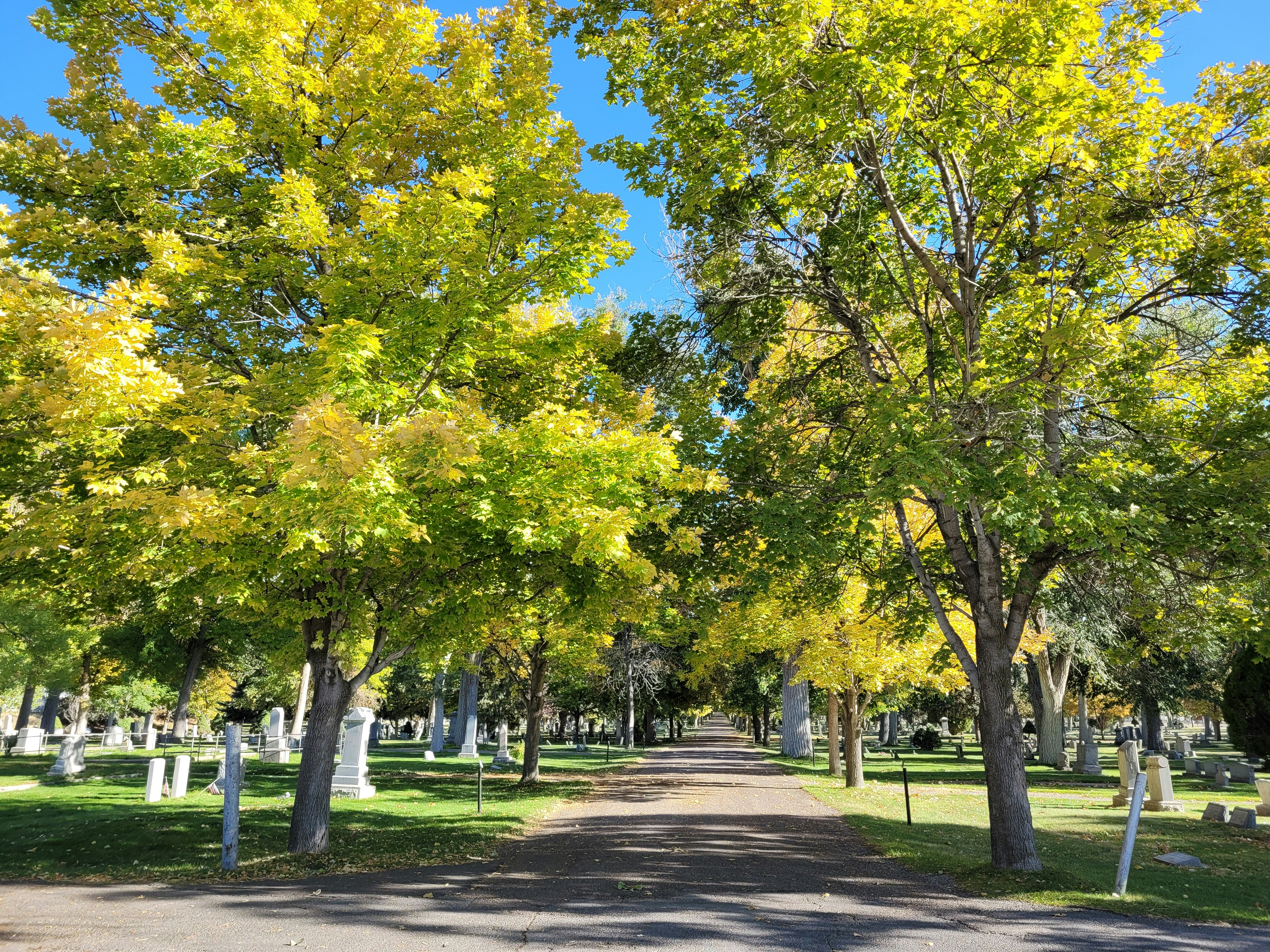 Photo by afrodeitiy6