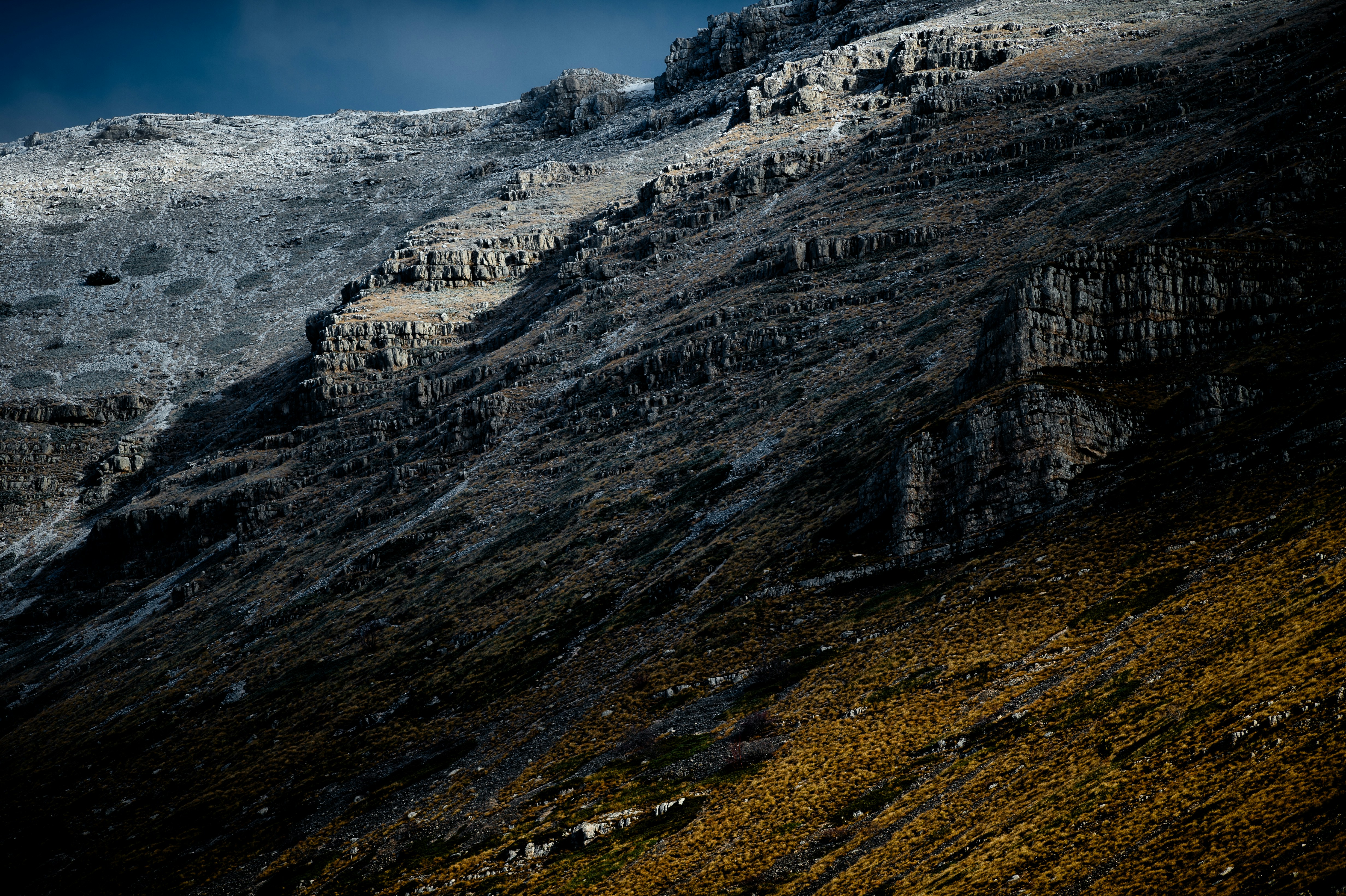 Photo by lucaakalu