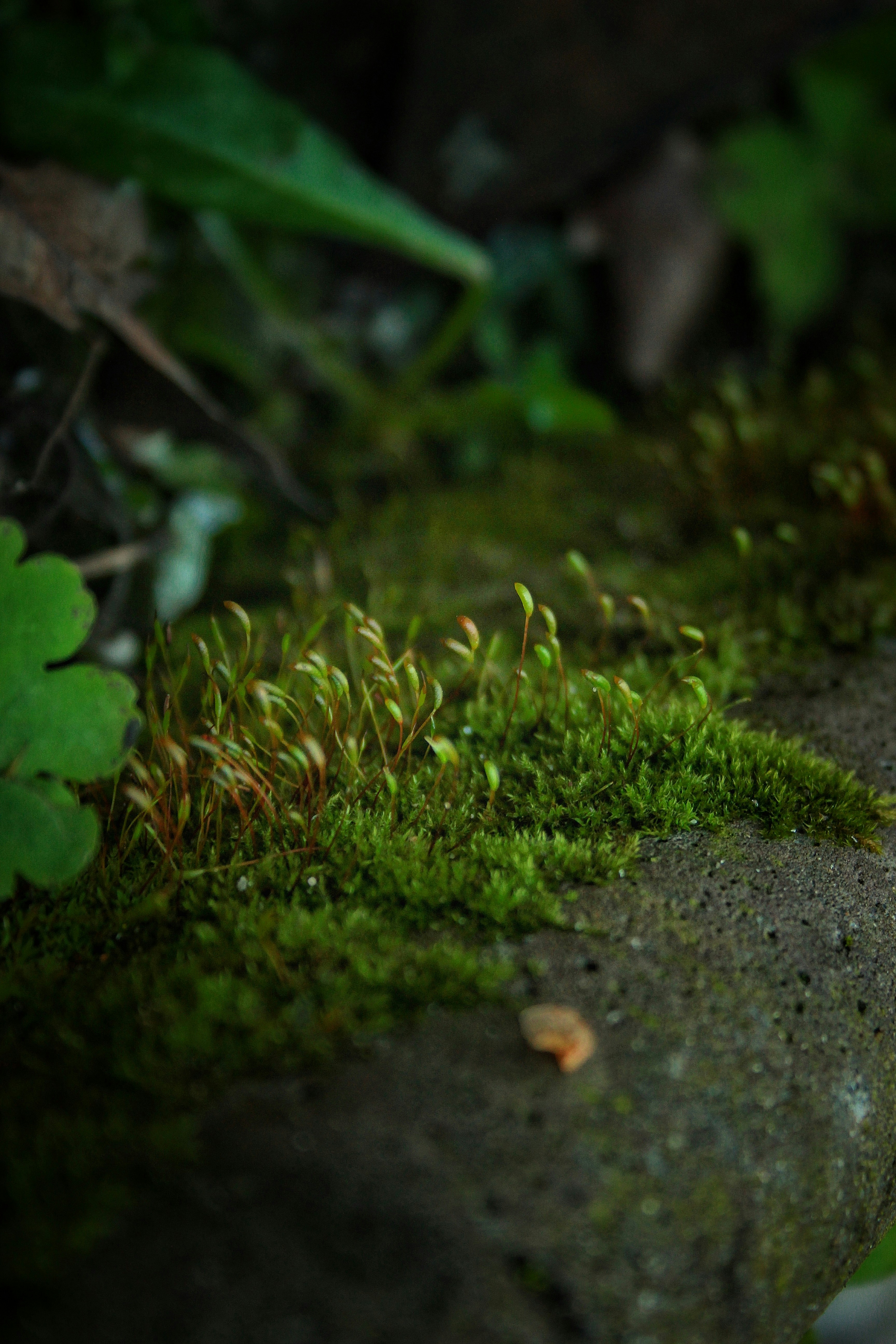 Photo by michael_kater