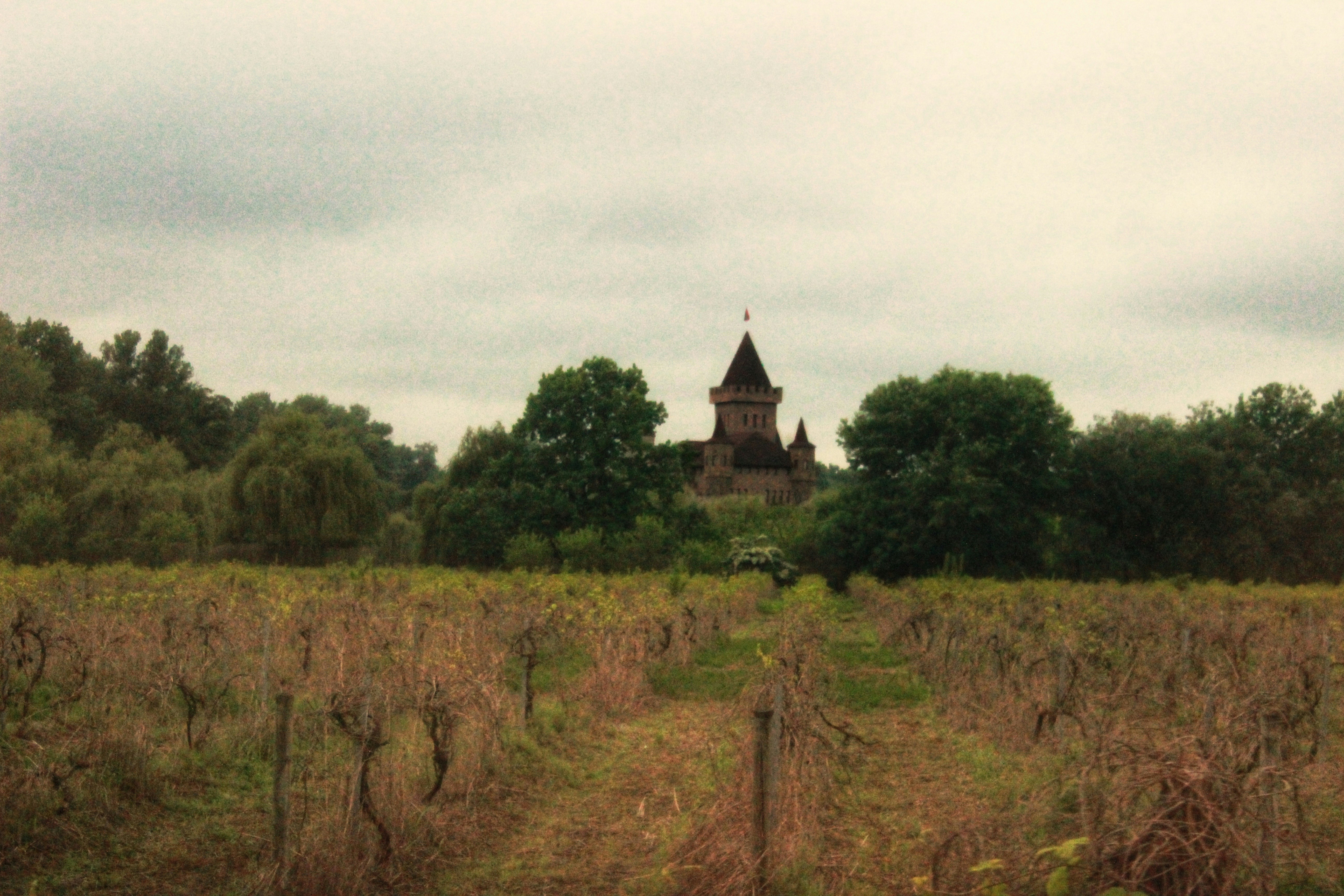 Photo by michael_kater