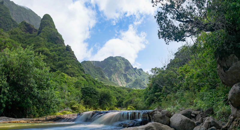 Tropical Plantation & Iao Valley Tour photo 3
