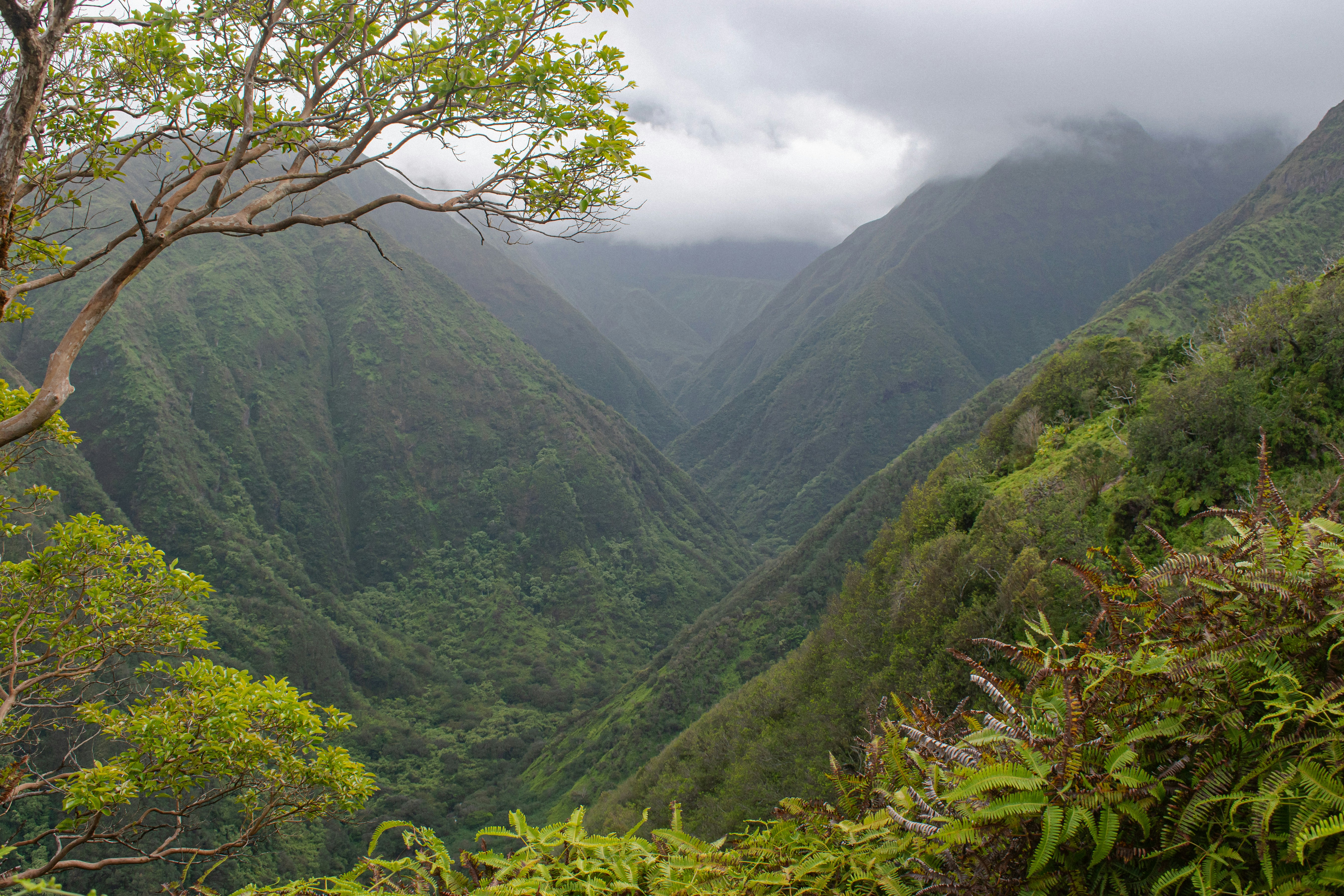 Lush, green mountains fill the valley below.