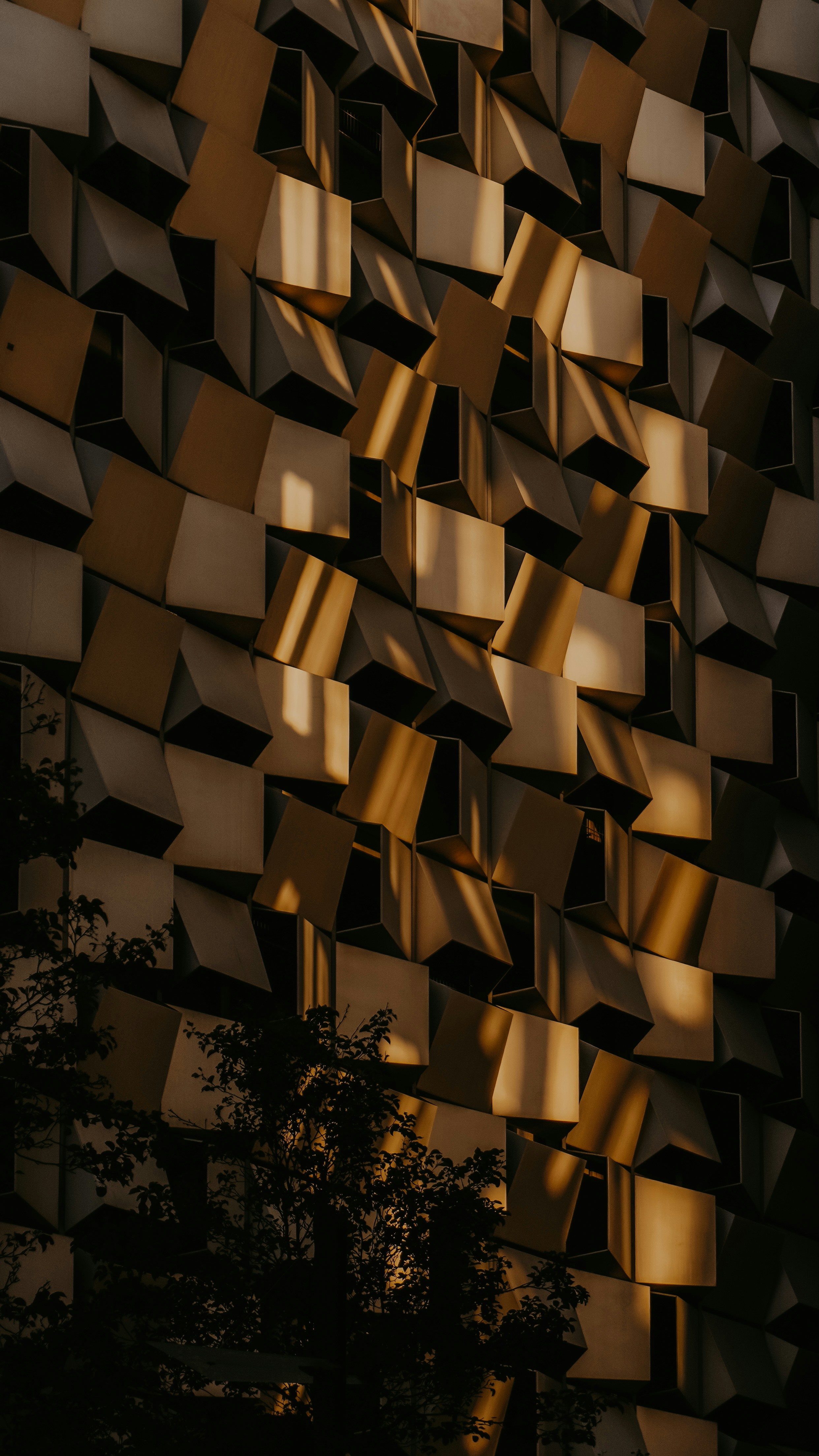 Photo by asimalghamdi