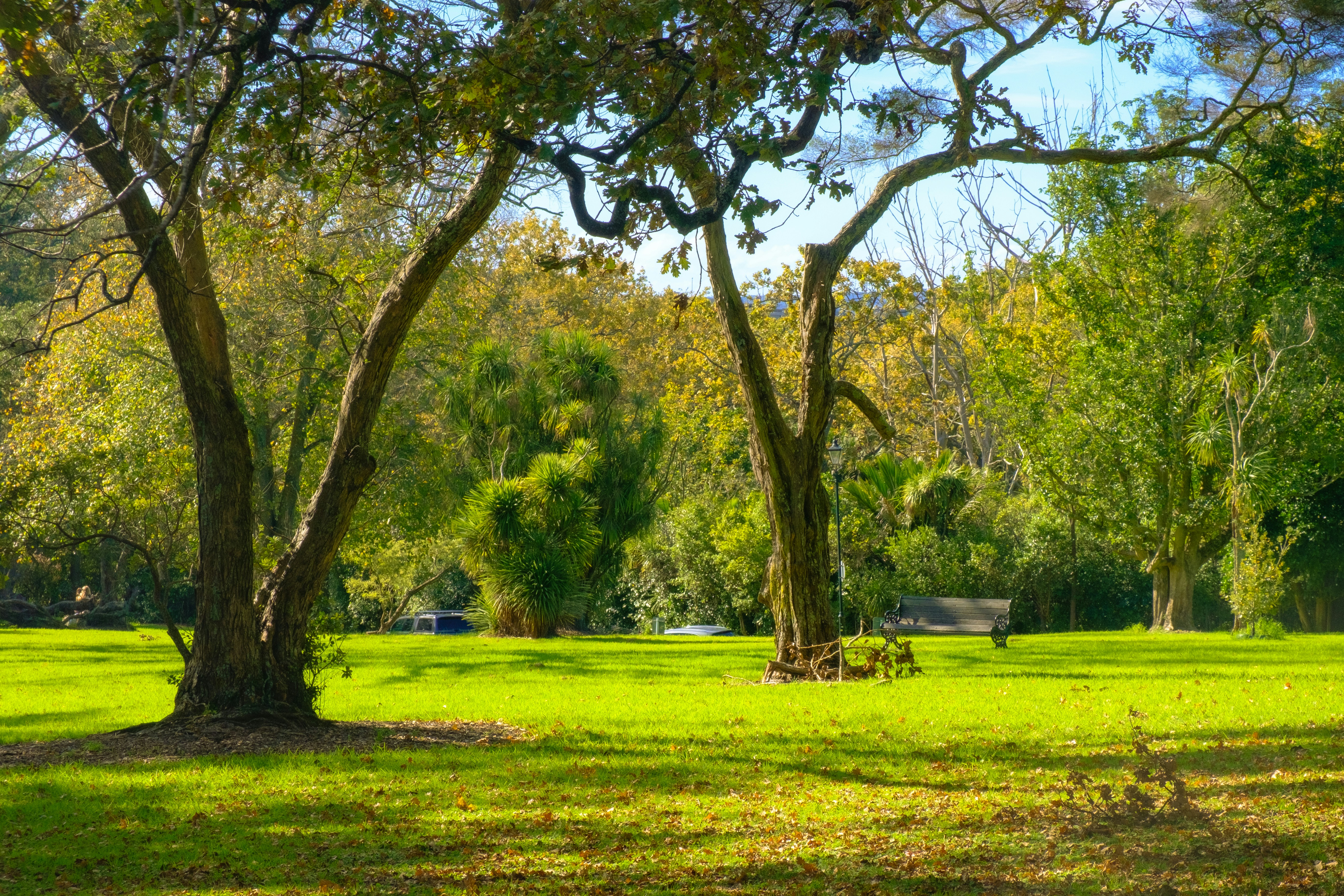 Photo by sammienguyen