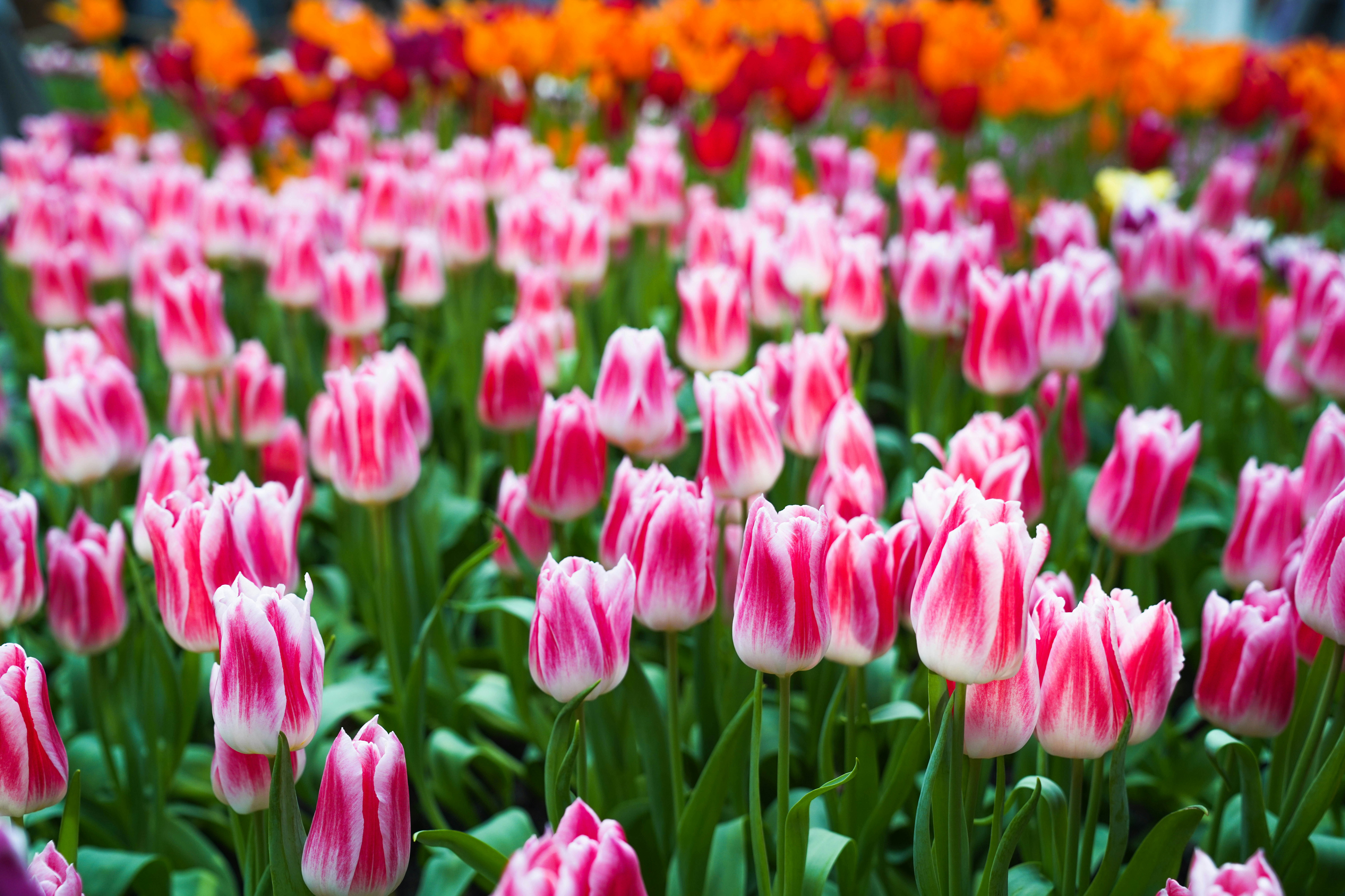 Photo by beyondninefive