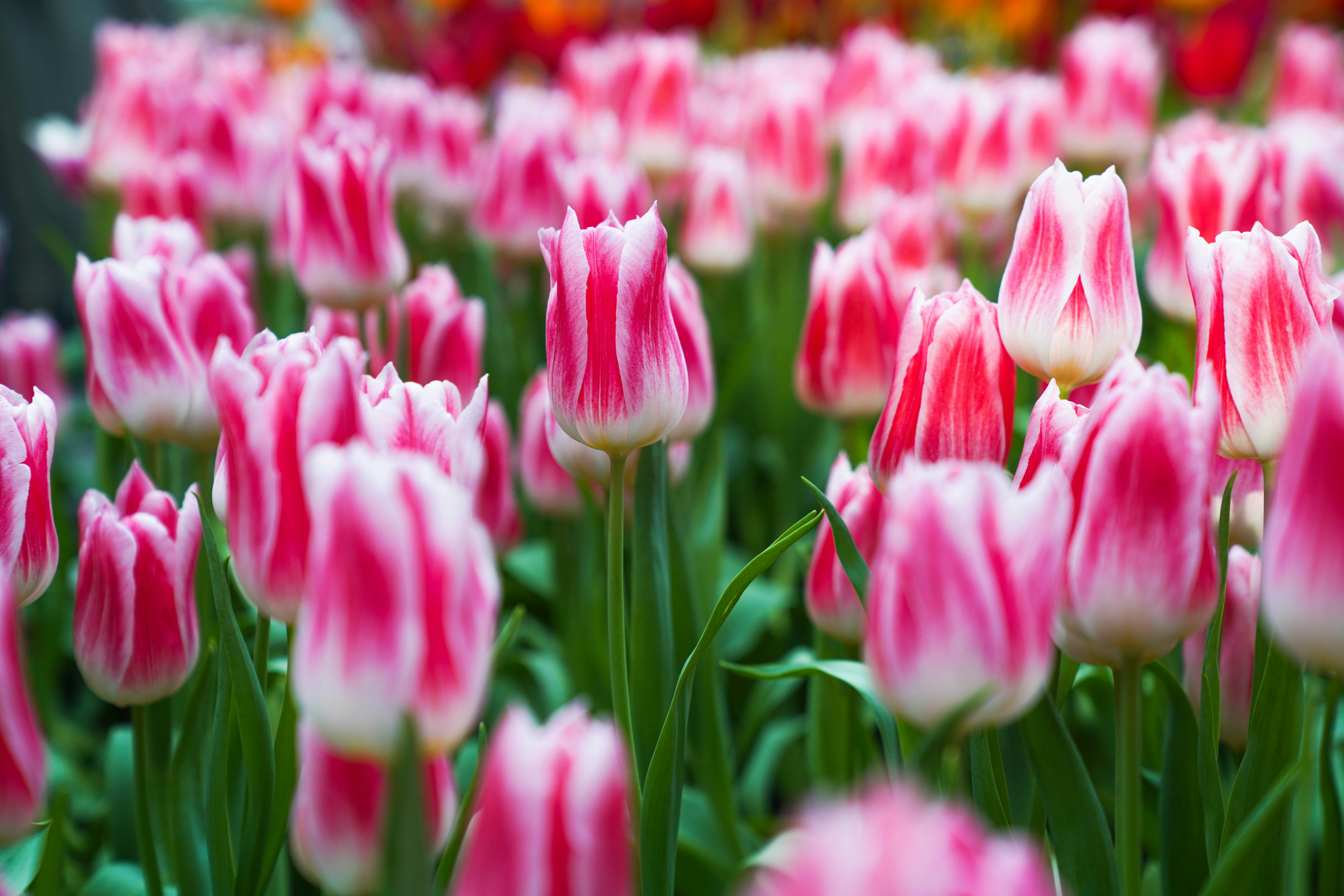 Photo by beyondninefive