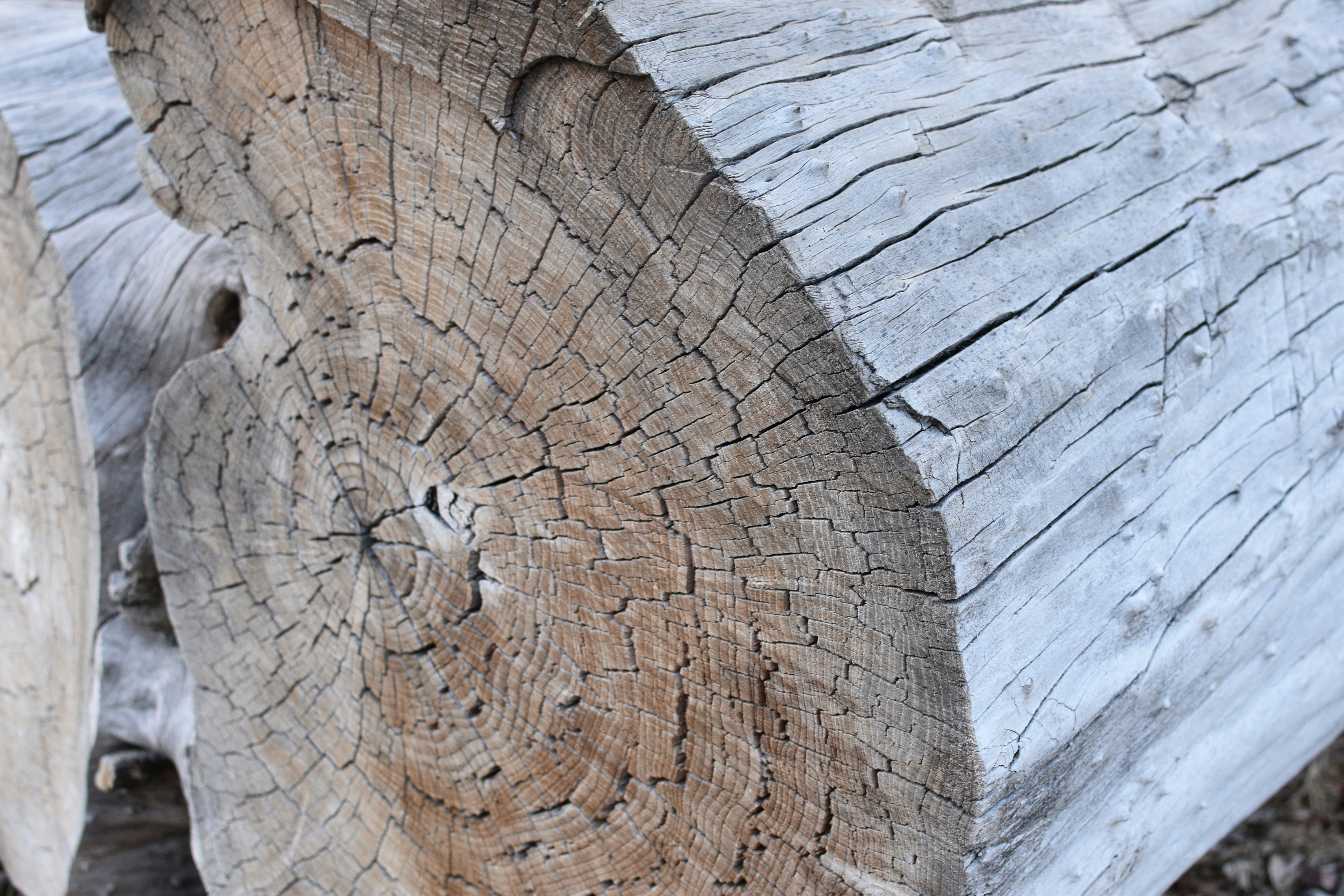 Photo by eedahmddi2022