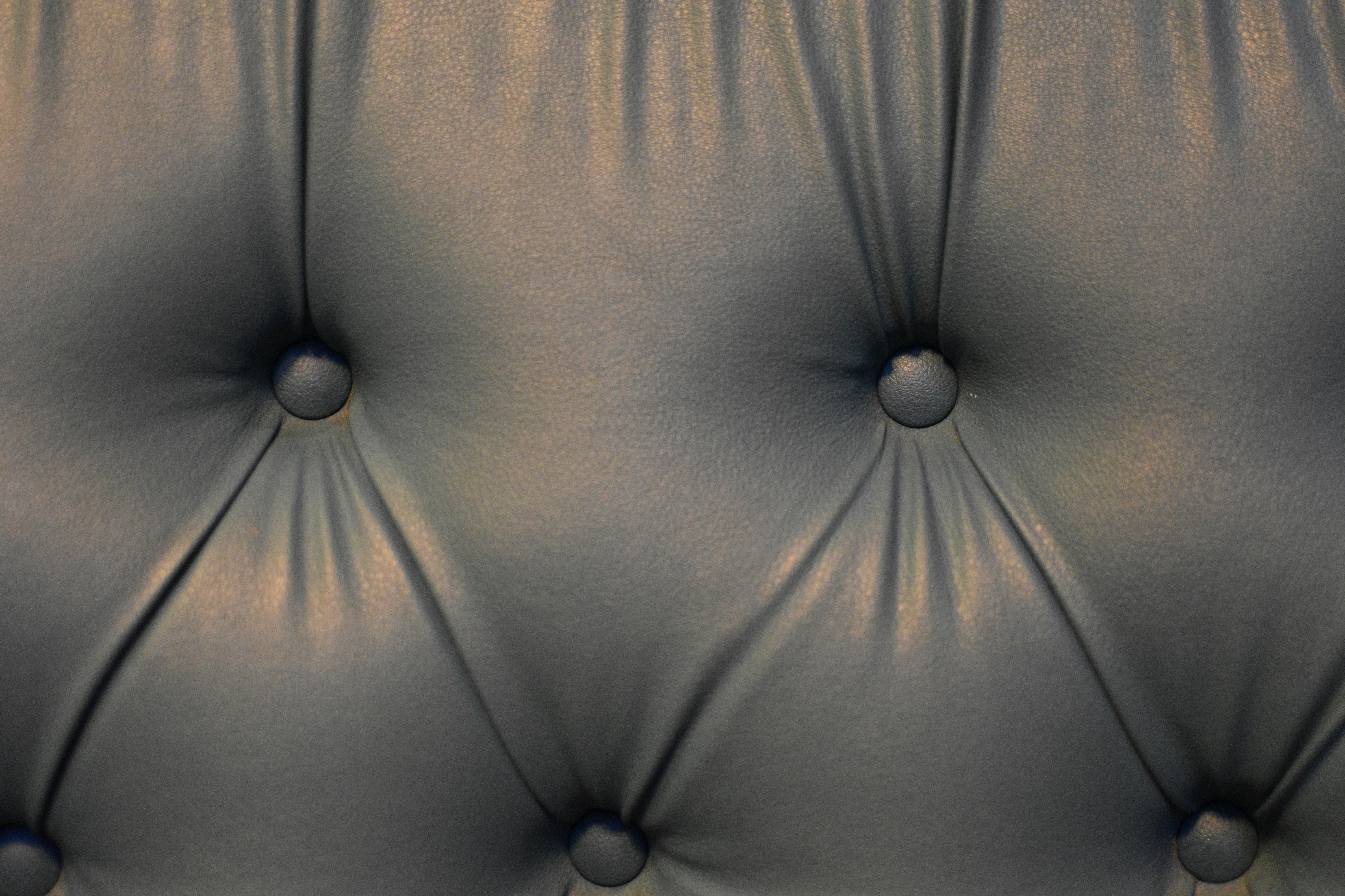 Trivia nights in Arvada, United States