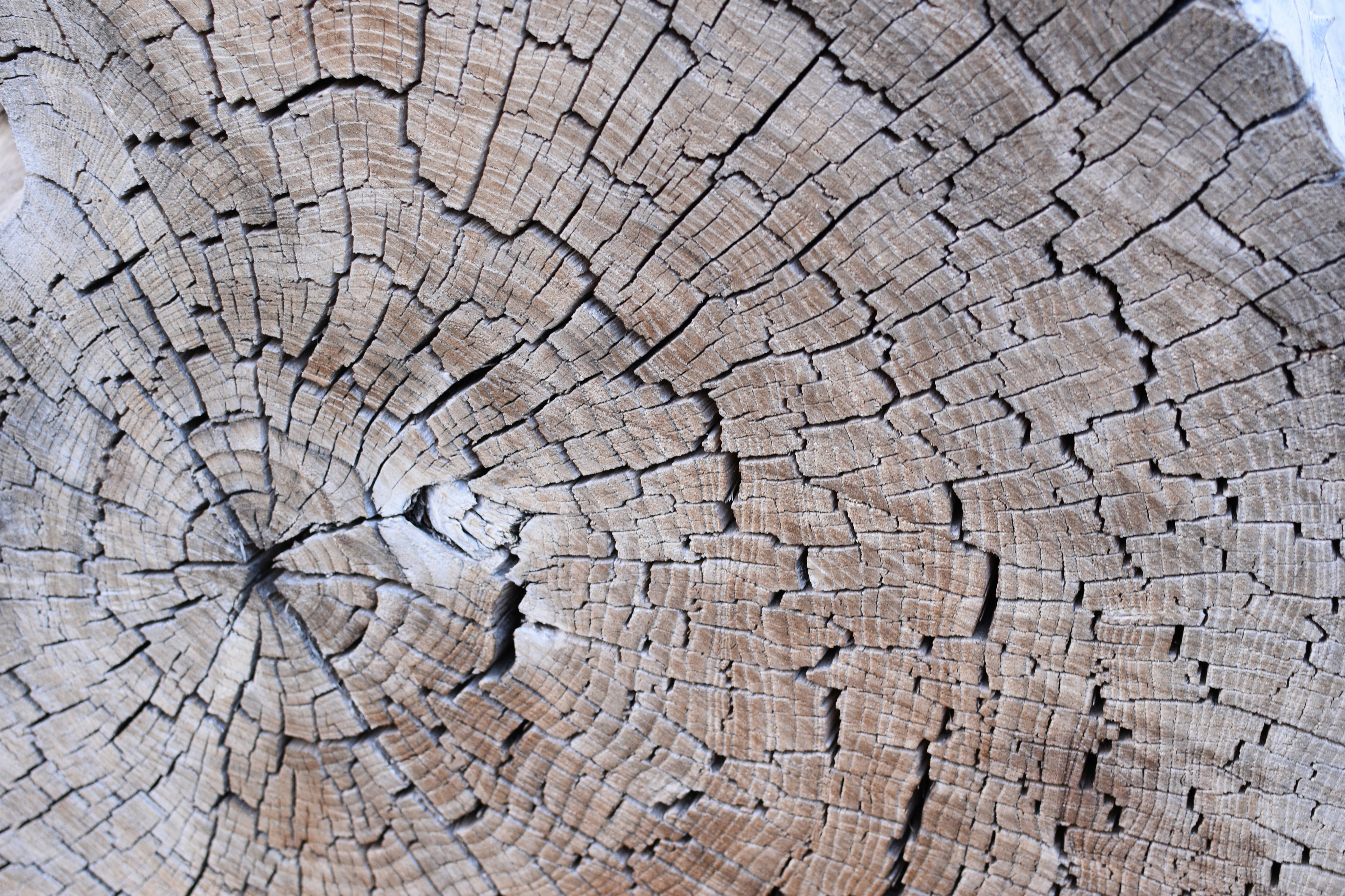 Photo by eedahmddi2022