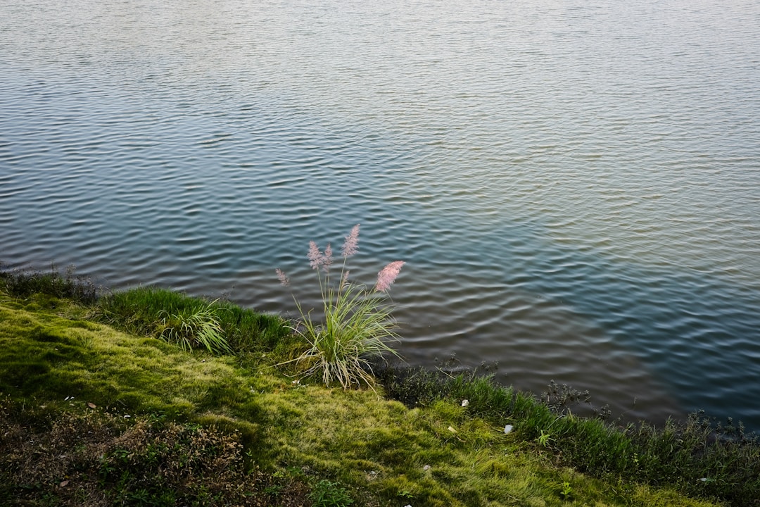 Ria Formosa Quinta do Lago