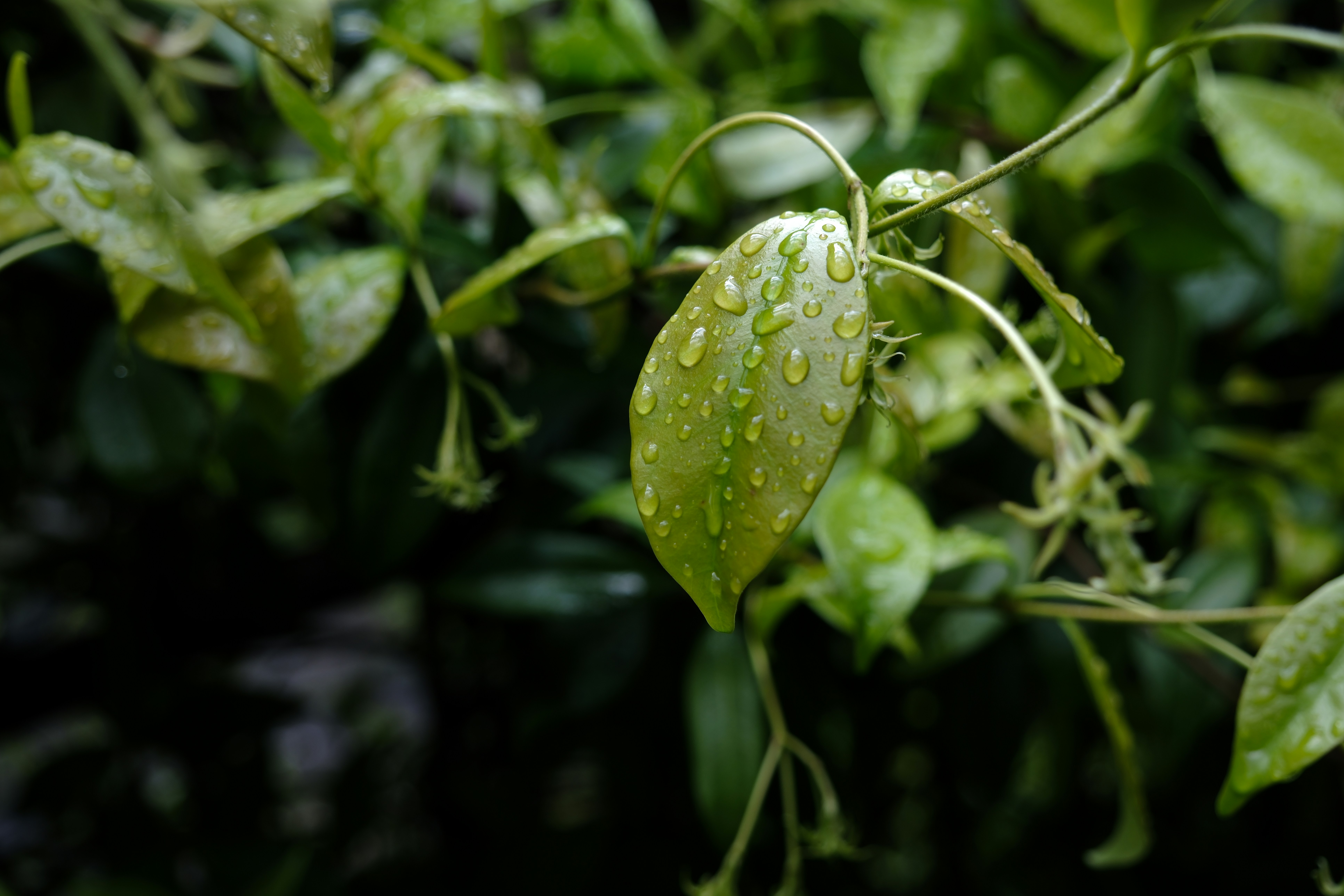 Photo by worldchris75