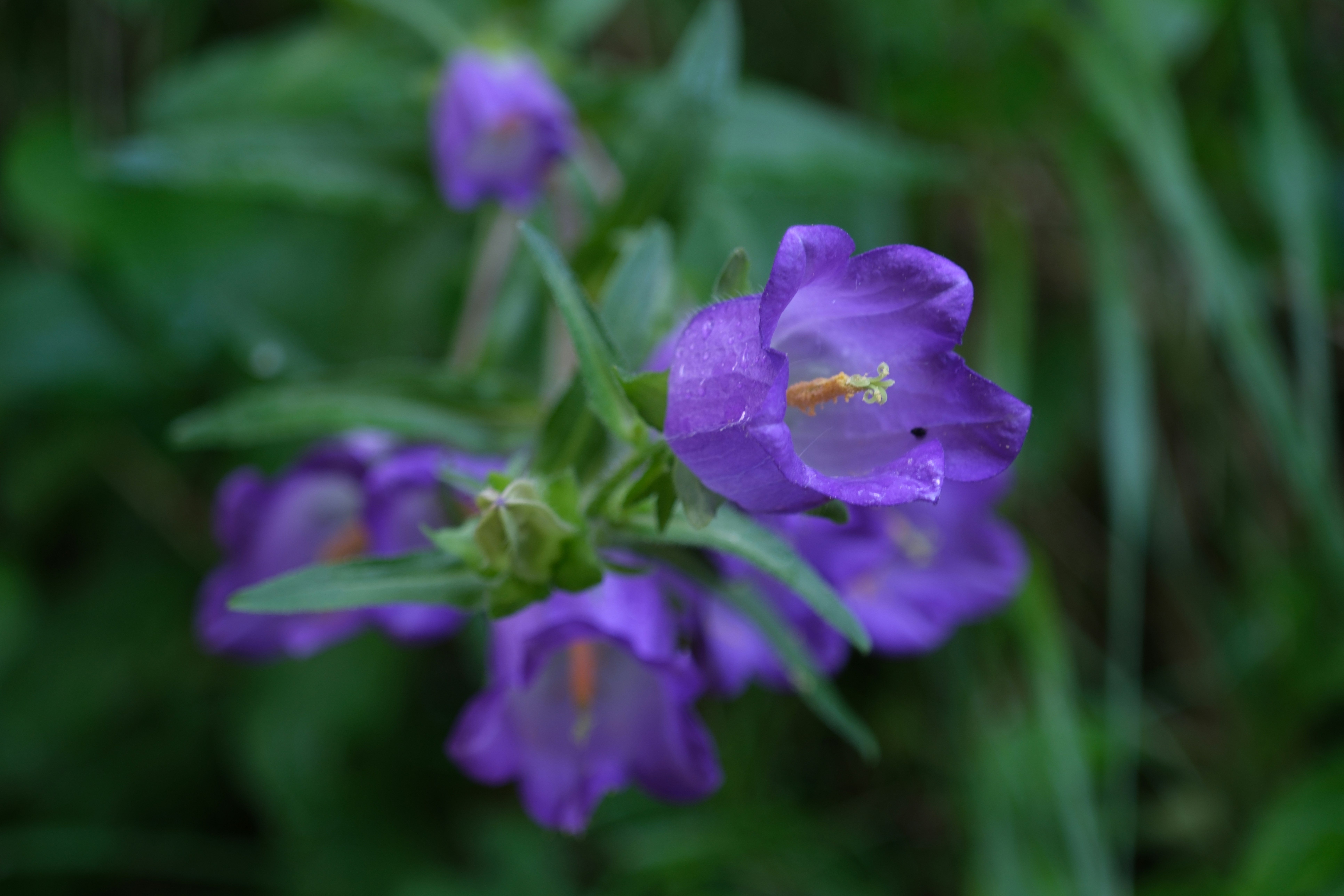 Photo by worldchris75