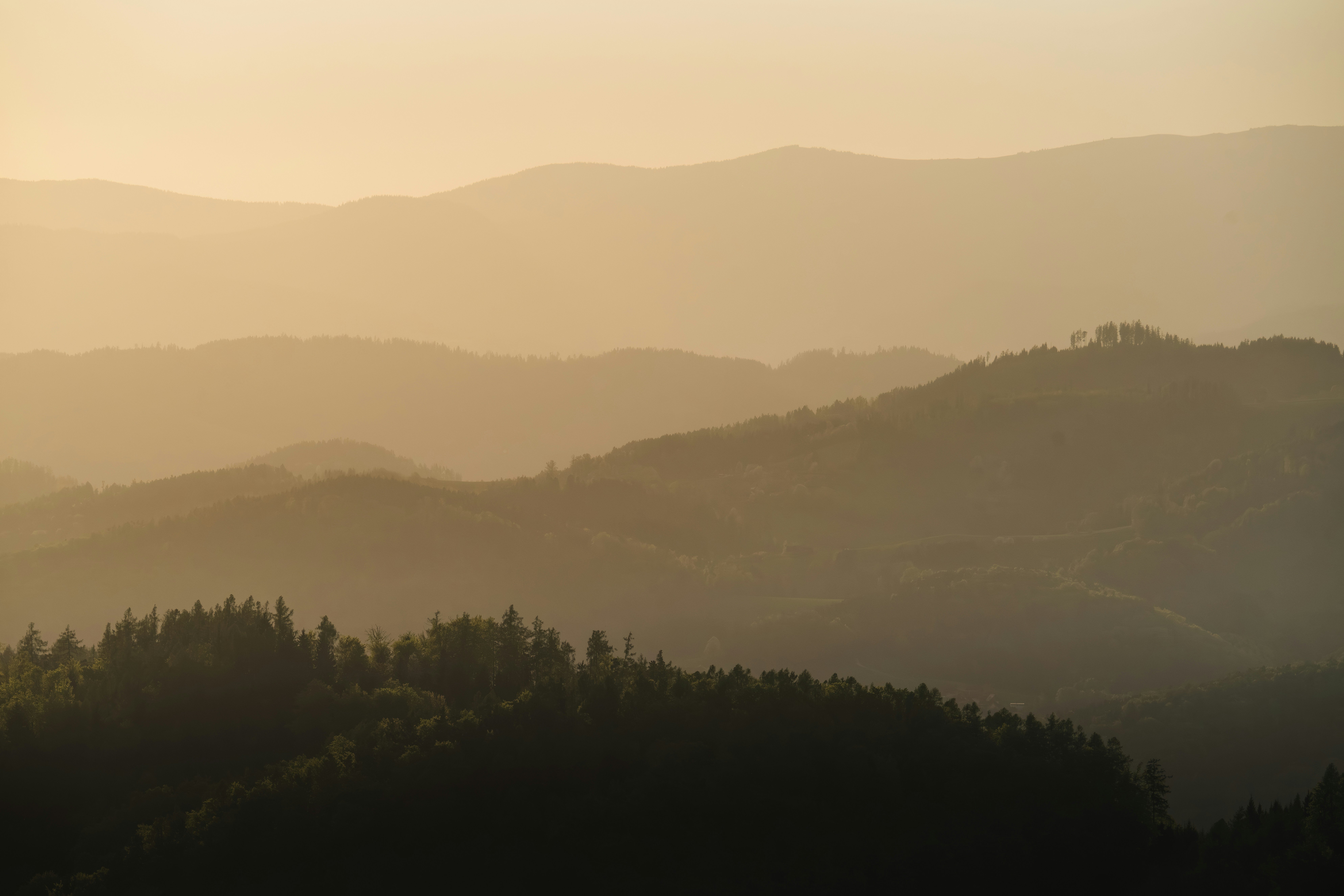 Photo by ahmetyuksek