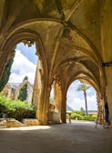 Arched, weathered architecture frames the vibrant outdoors.