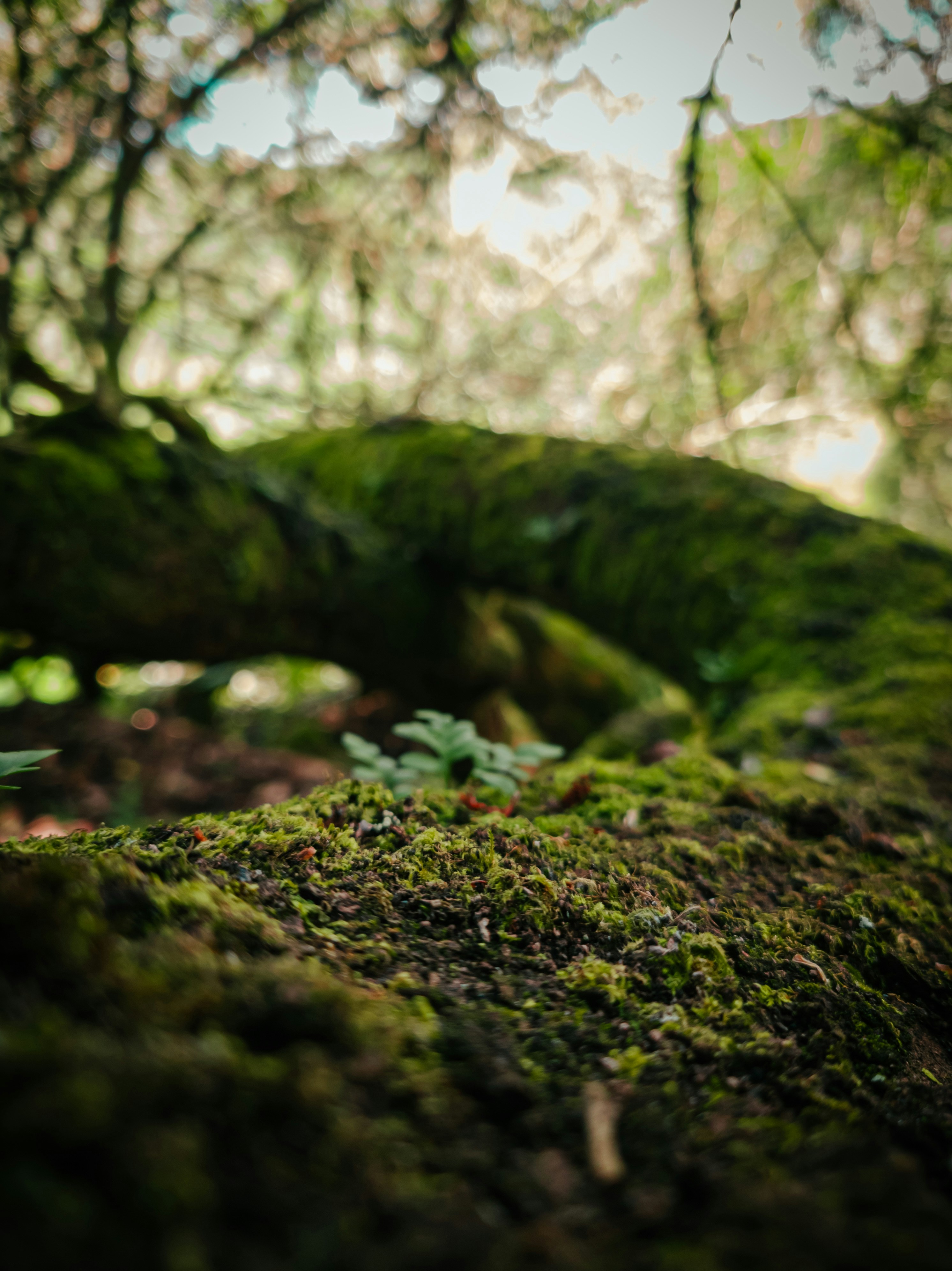 Photo by vinicius047