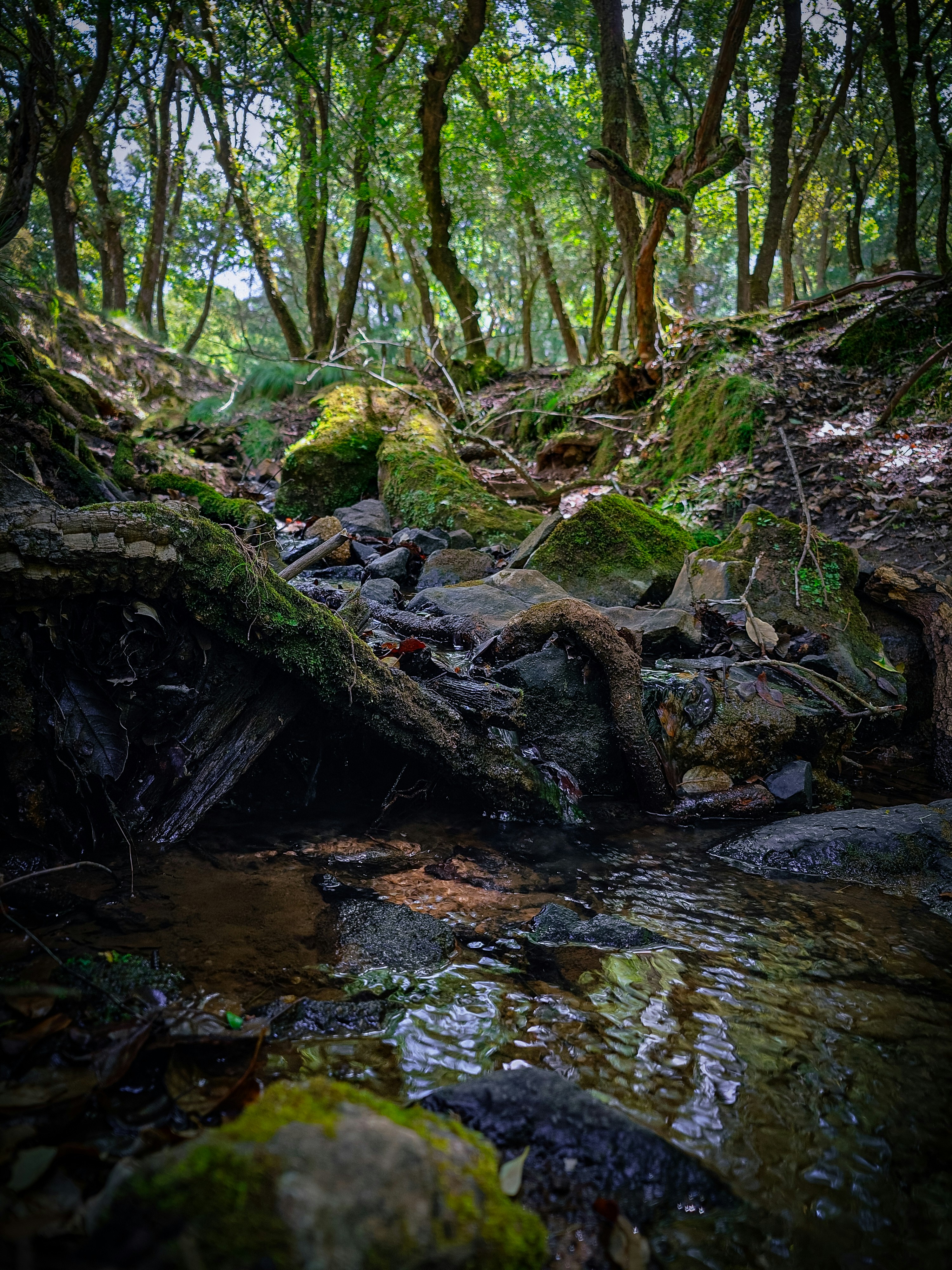 Photo by vinicius047